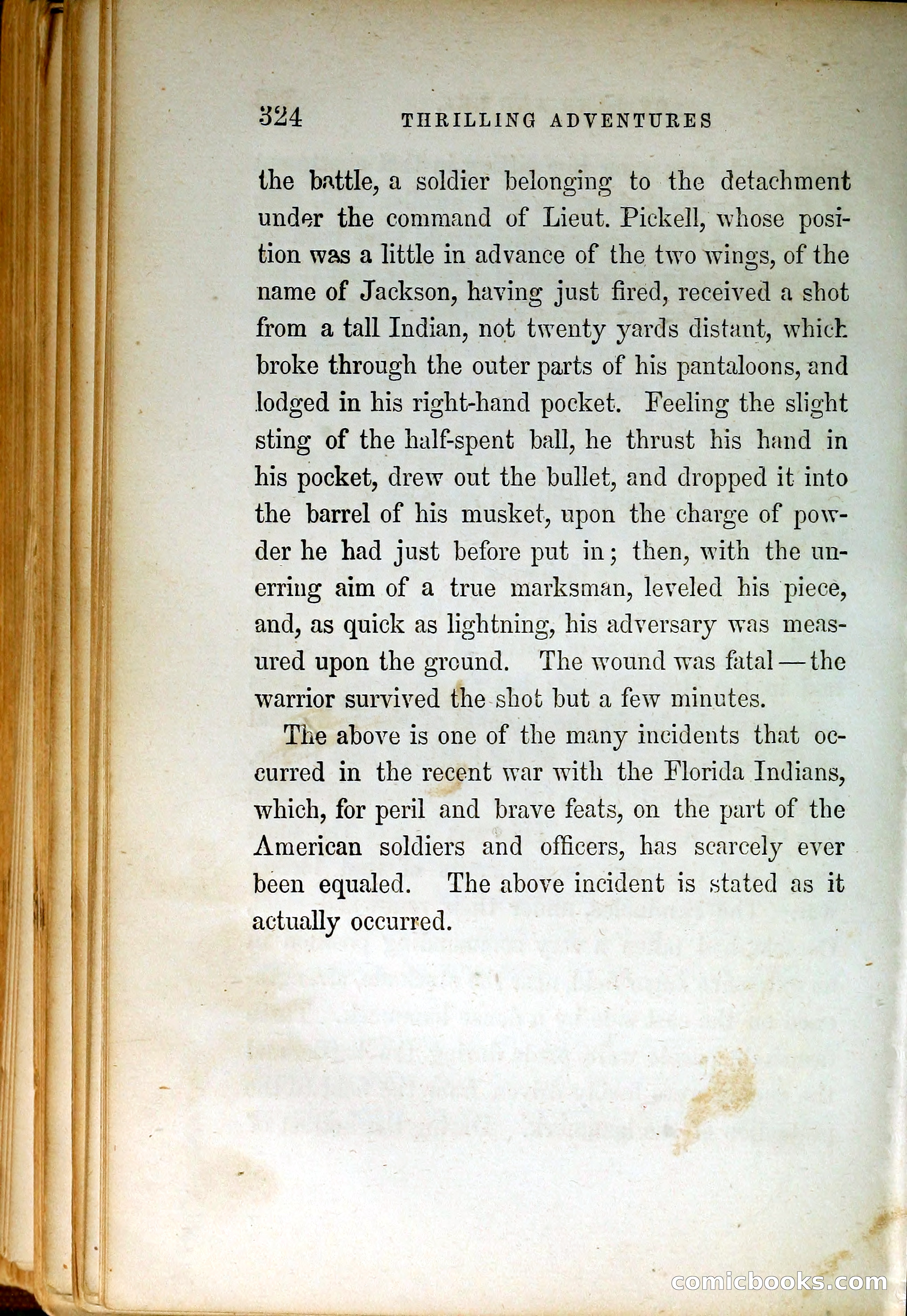 Thrilling Adventures by Land and Sea — page 333 of 399