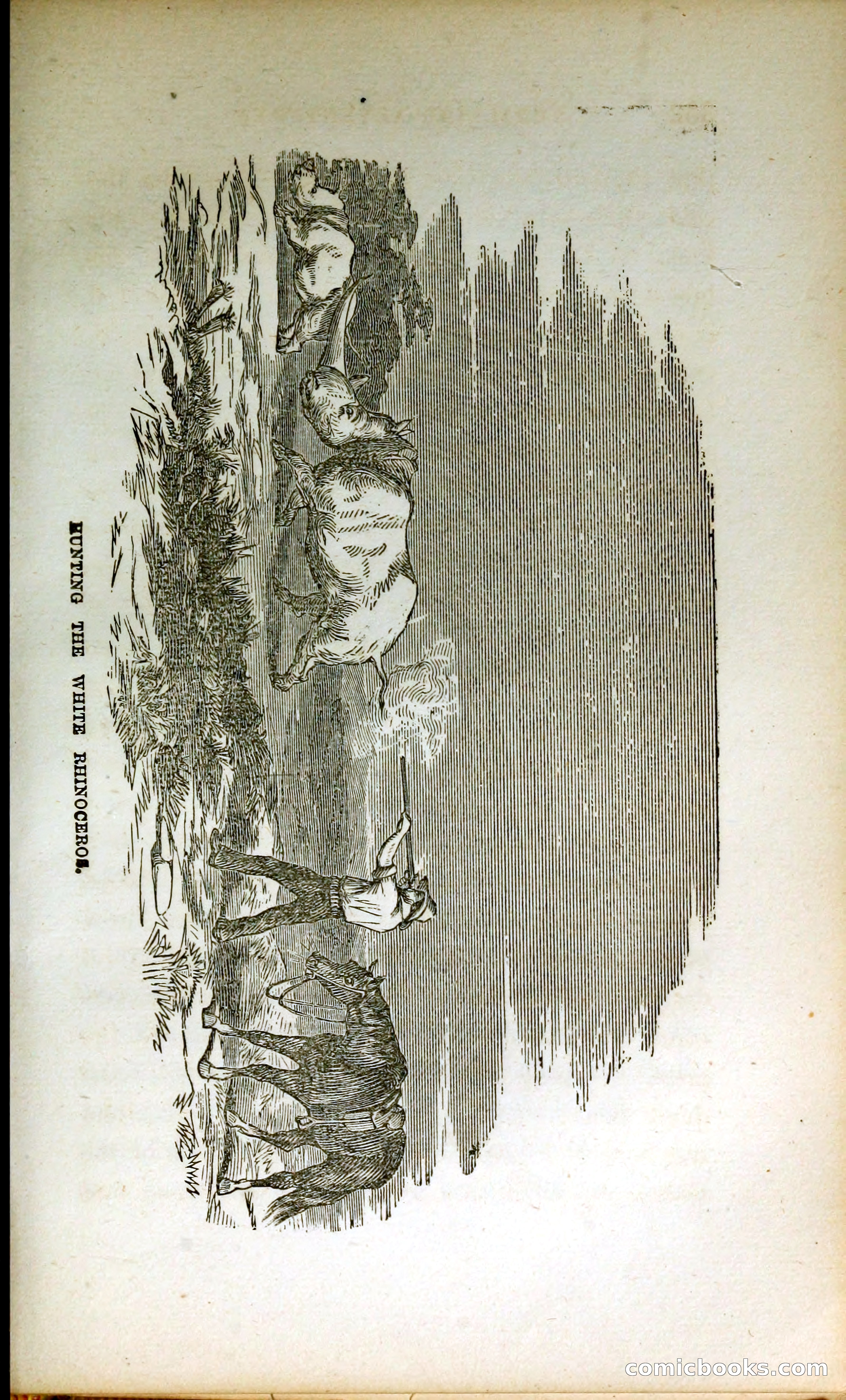 Thrilling Adventures by Land and Sea — page 342 of 399
