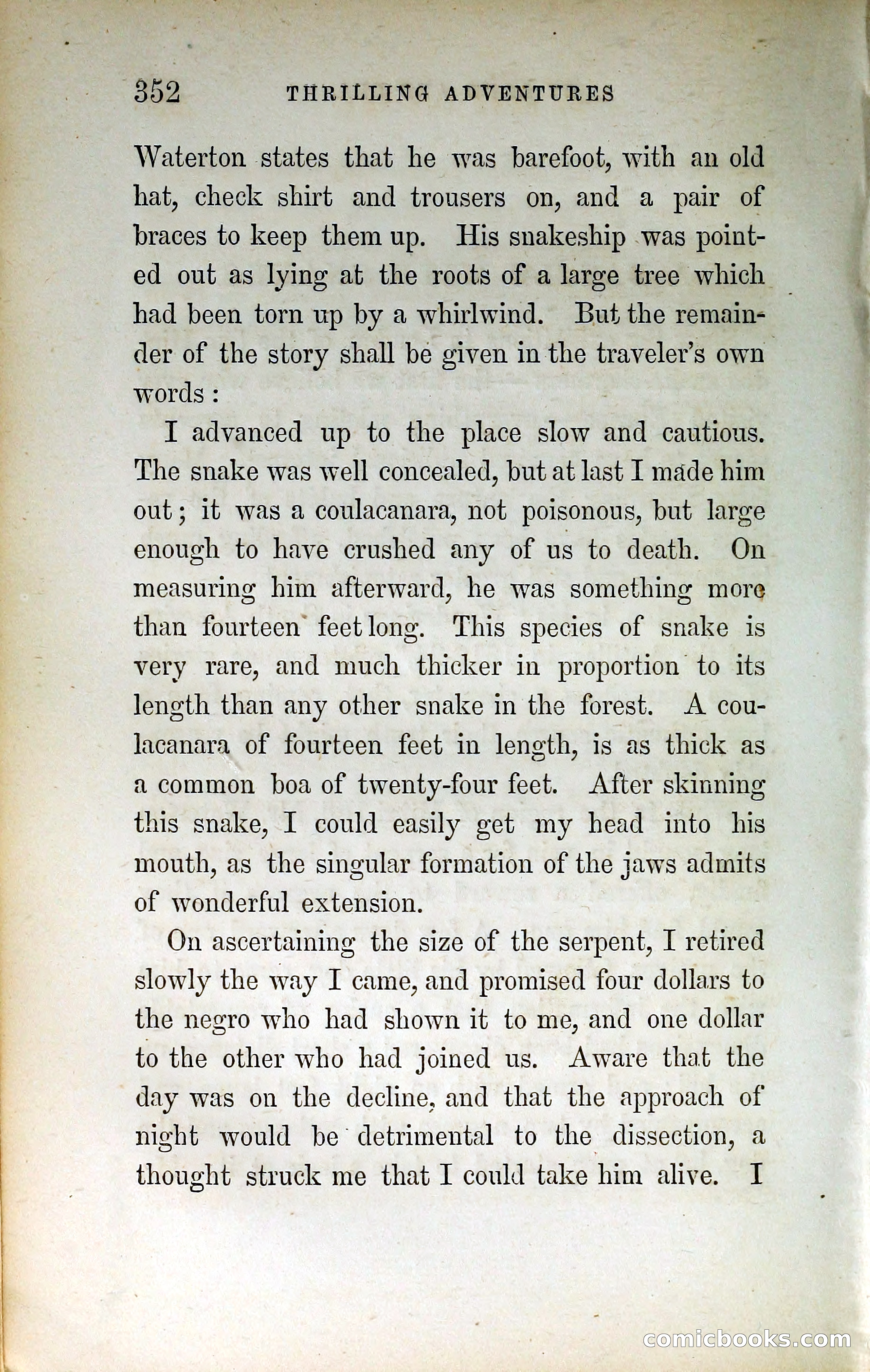 Thrilling Adventures by Land and Sea — page 361 of 399