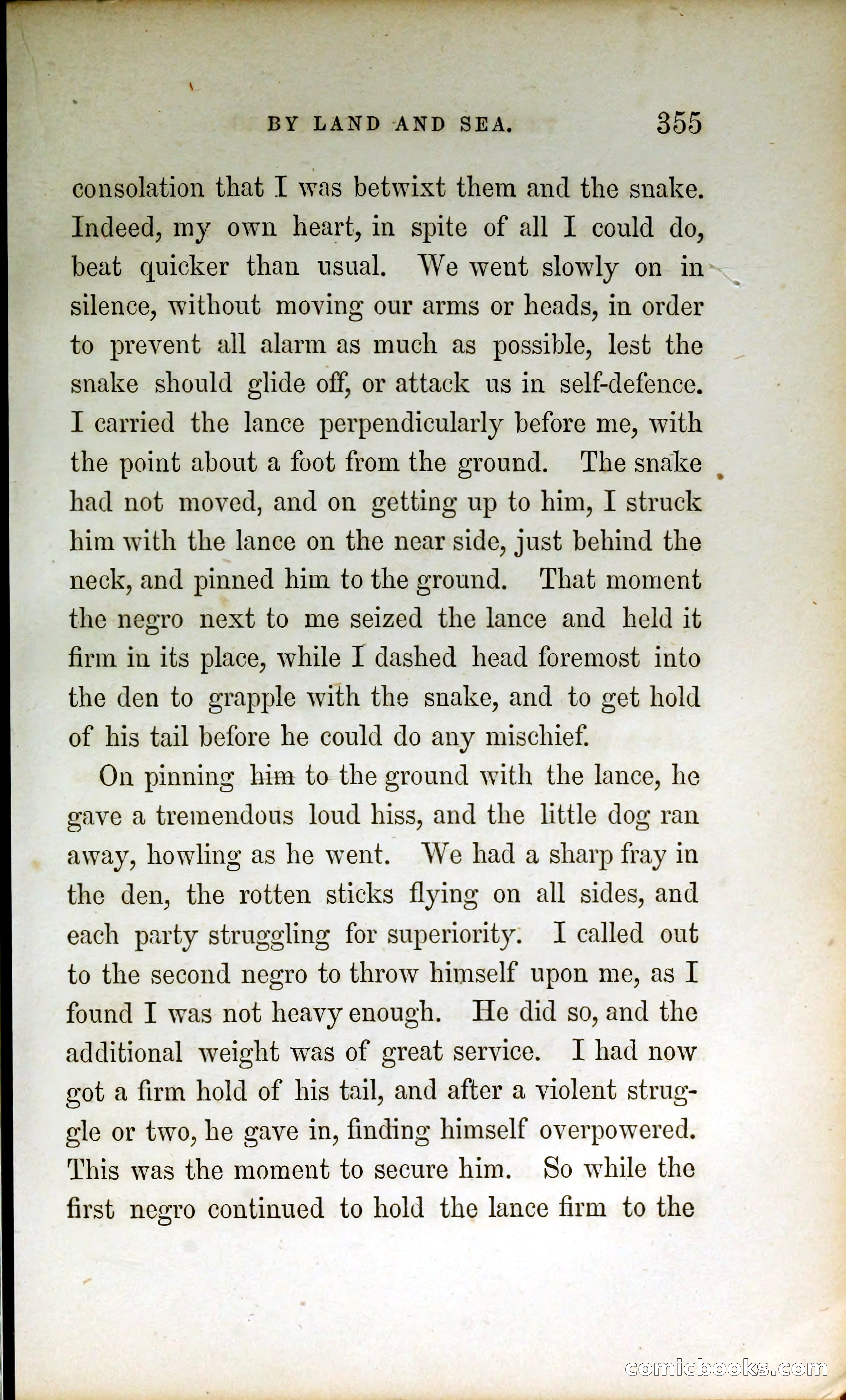 Thrilling Adventures by Land and Sea — page 364 of 399