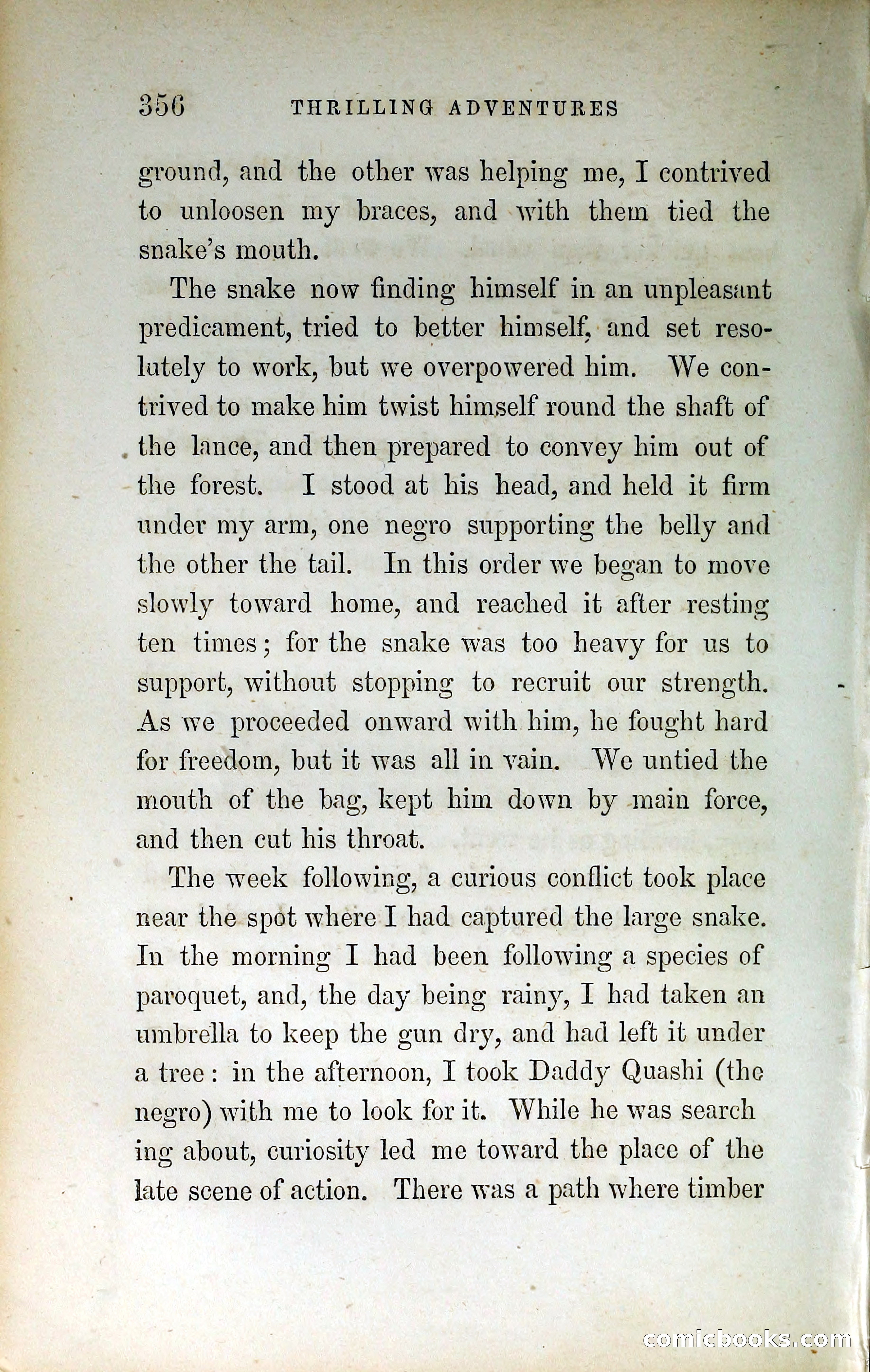 Thrilling Adventures by Land and Sea — page 365 of 399