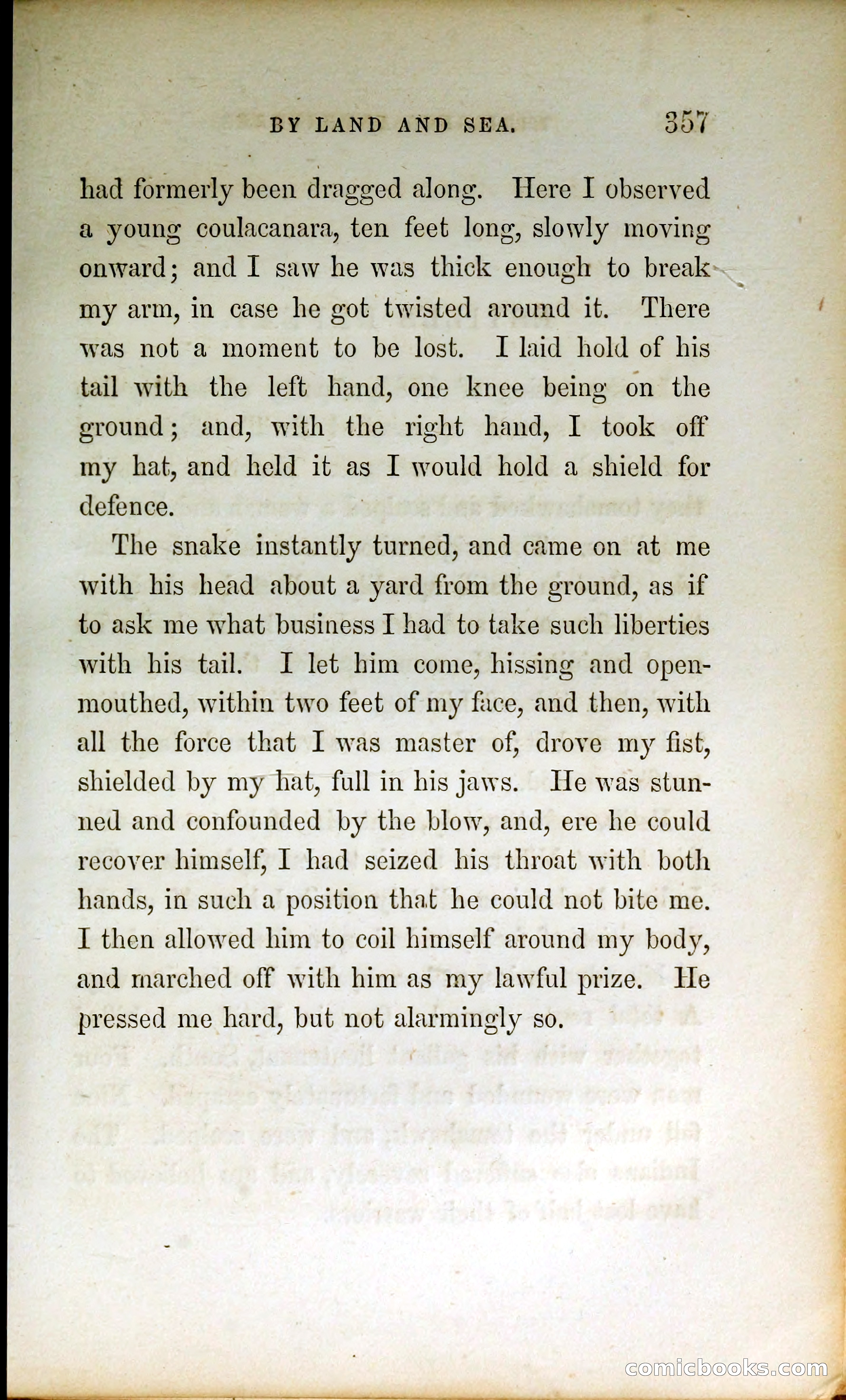 Thrilling Adventures by Land and Sea — page 366 of 399