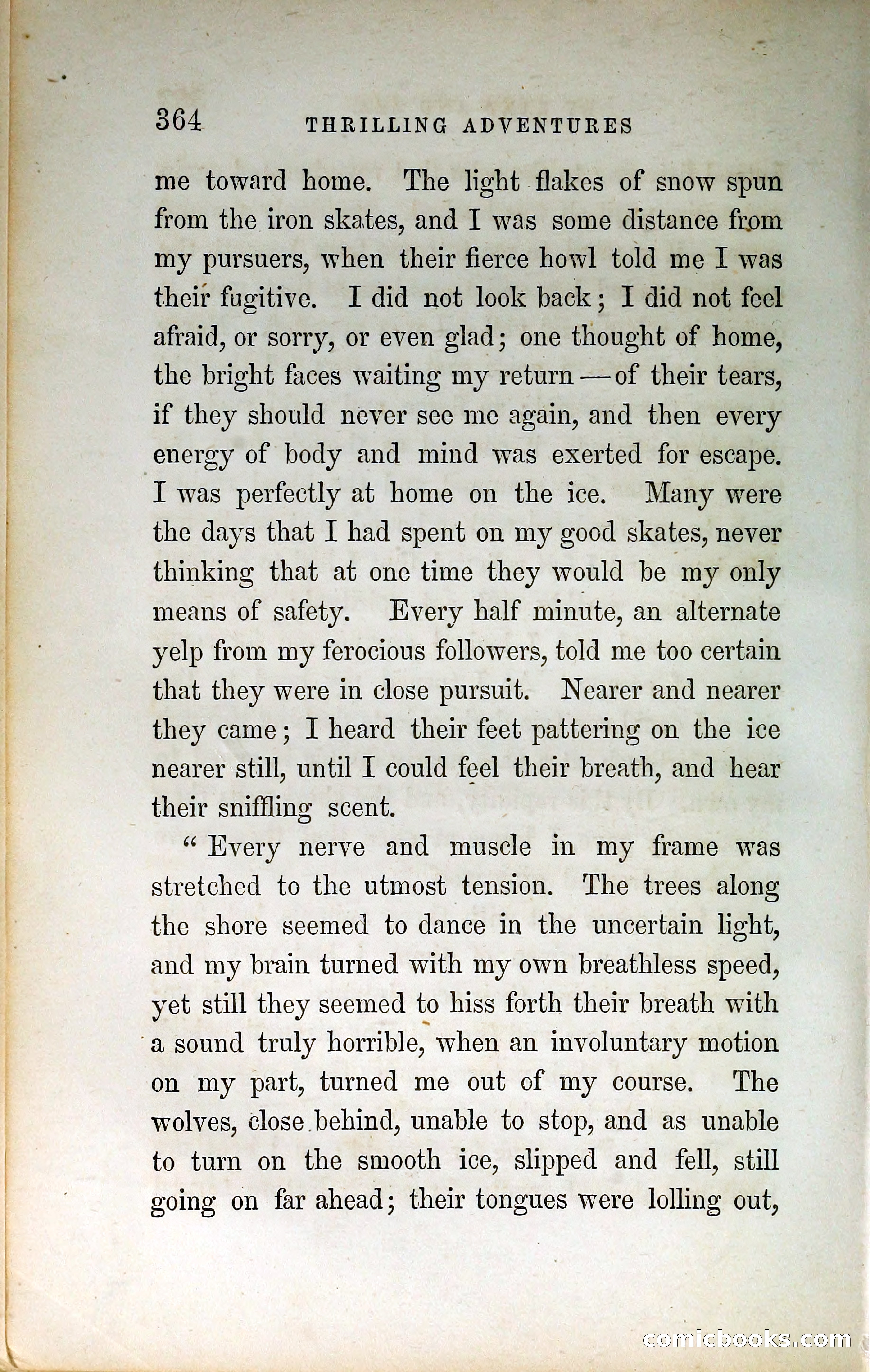 Thrilling Adventures by Land and Sea — page 373 of 399