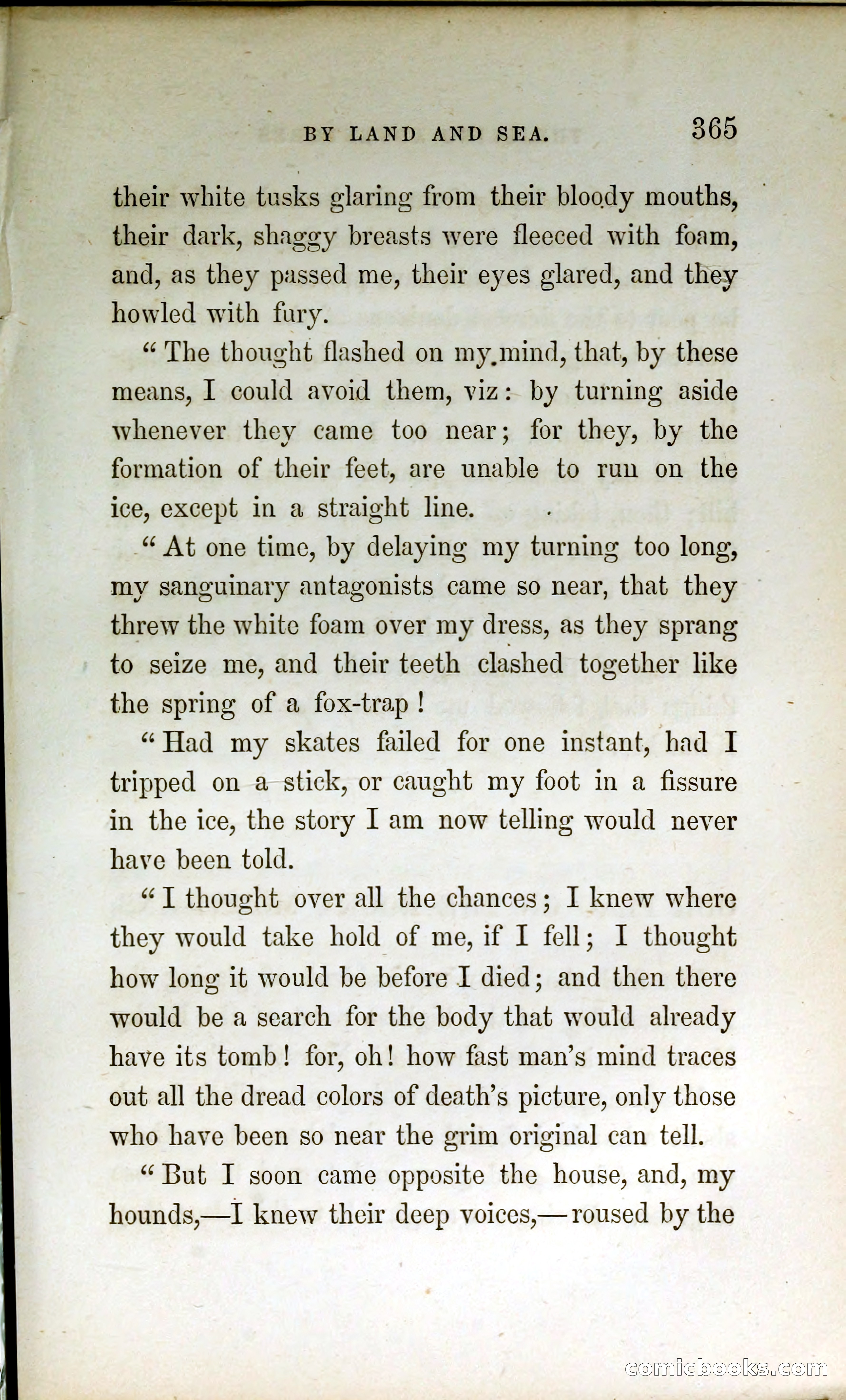Thrilling Adventures by Land and Sea — page 374 of 399