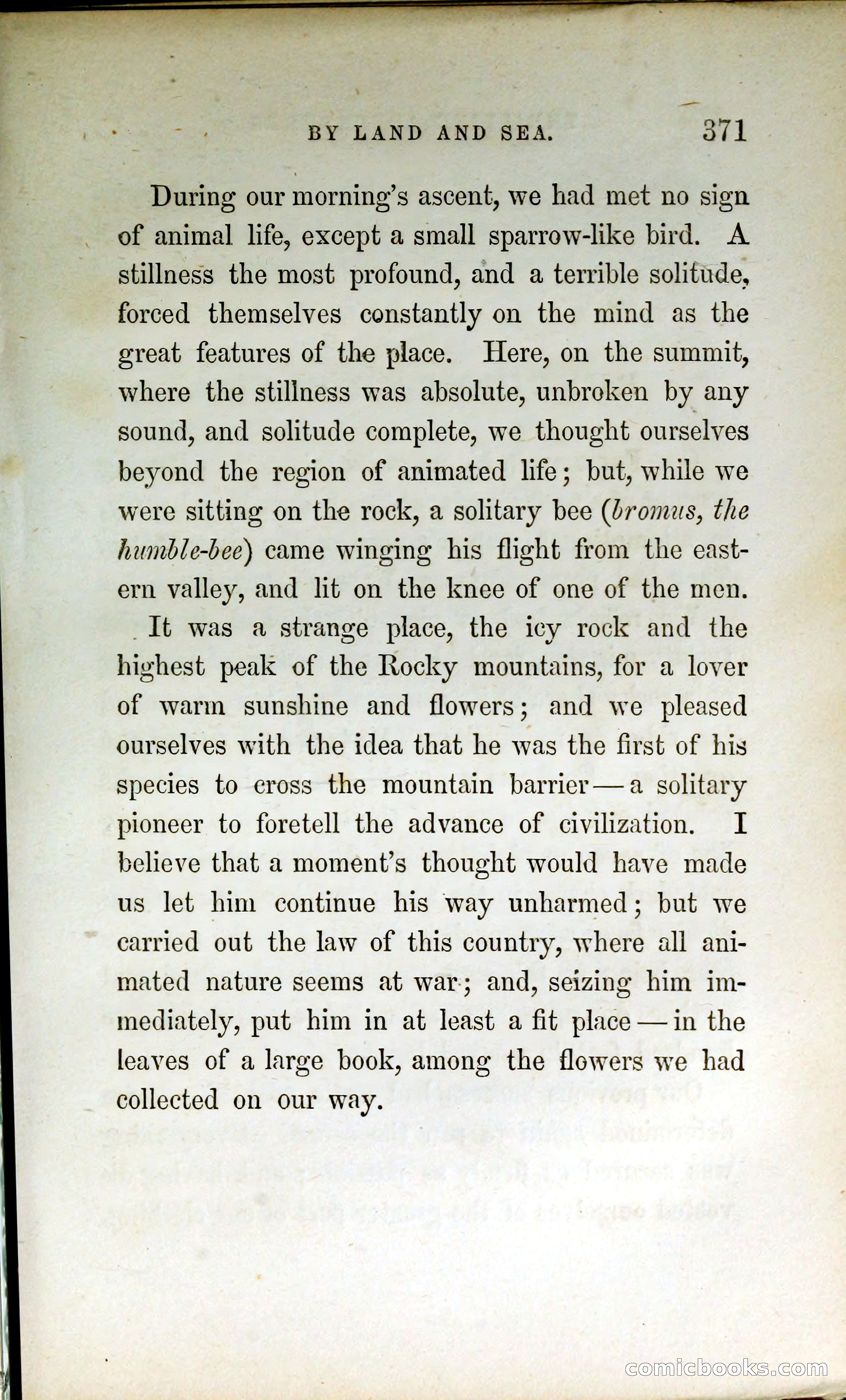 Thrilling Adventures by Land and Sea — page 380 of 399