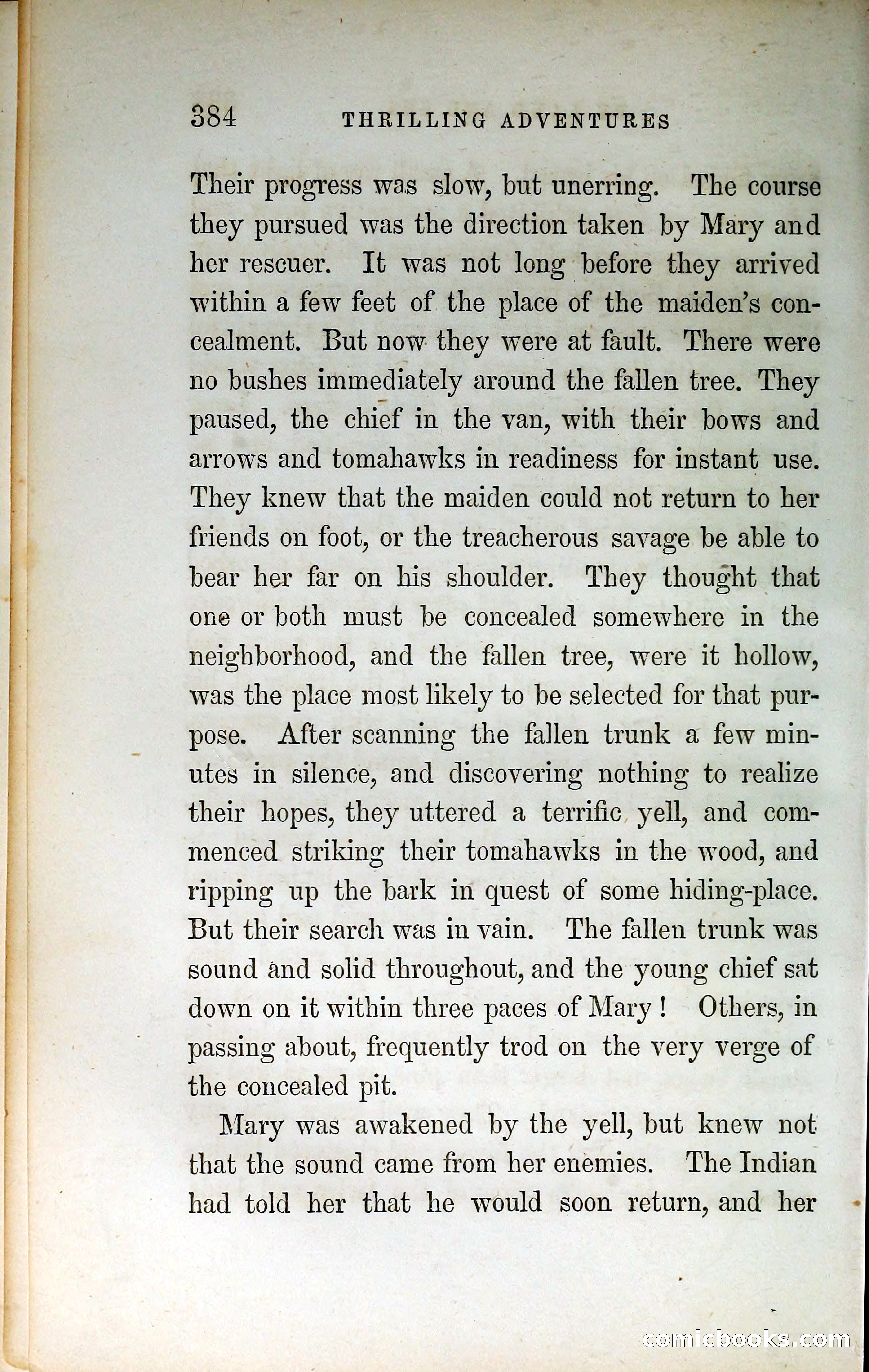 Thrilling Adventures by Land and Sea — page 393 of 399