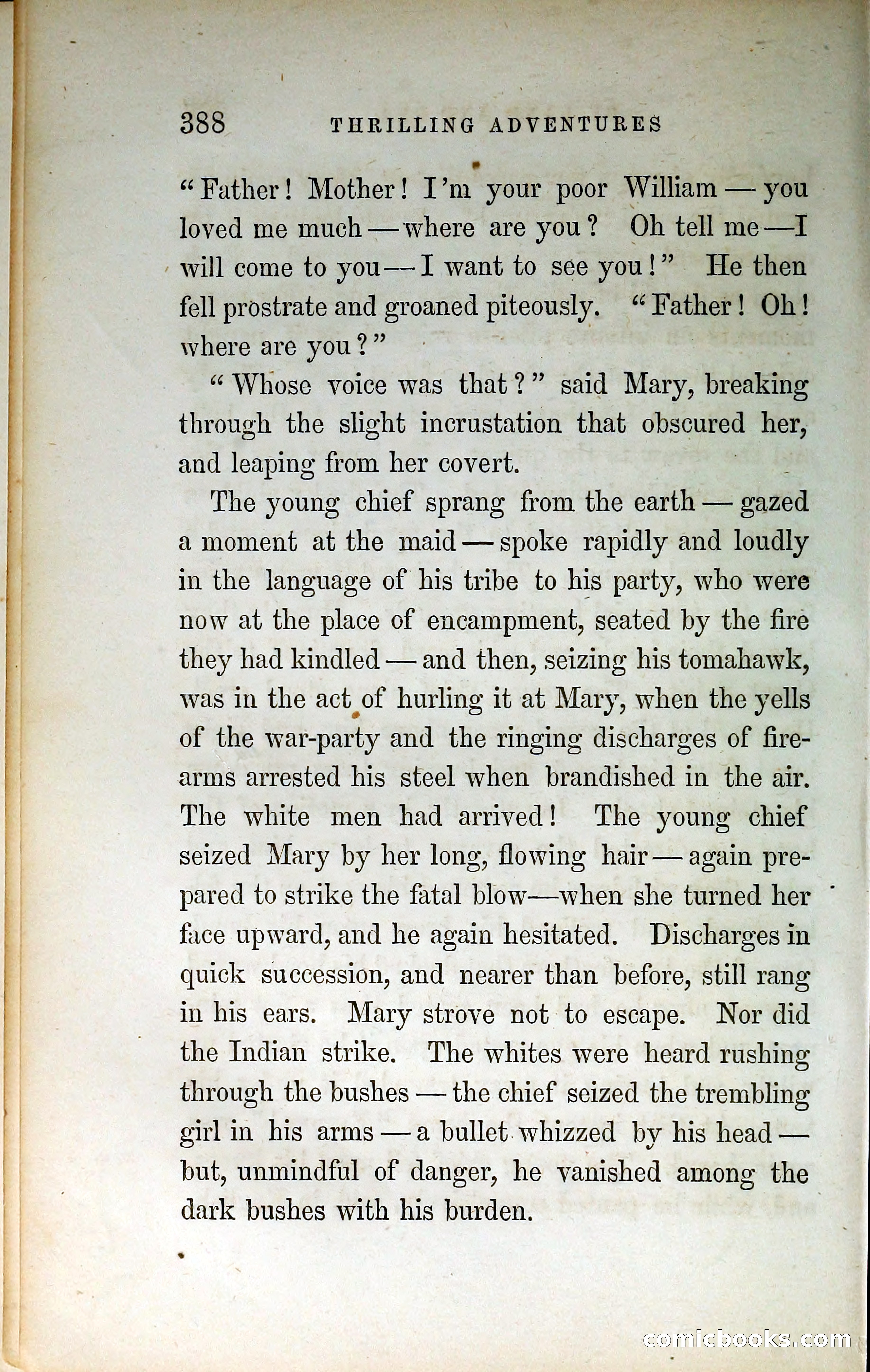 Thrilling Adventures by Land and Sea — page 397 of 399