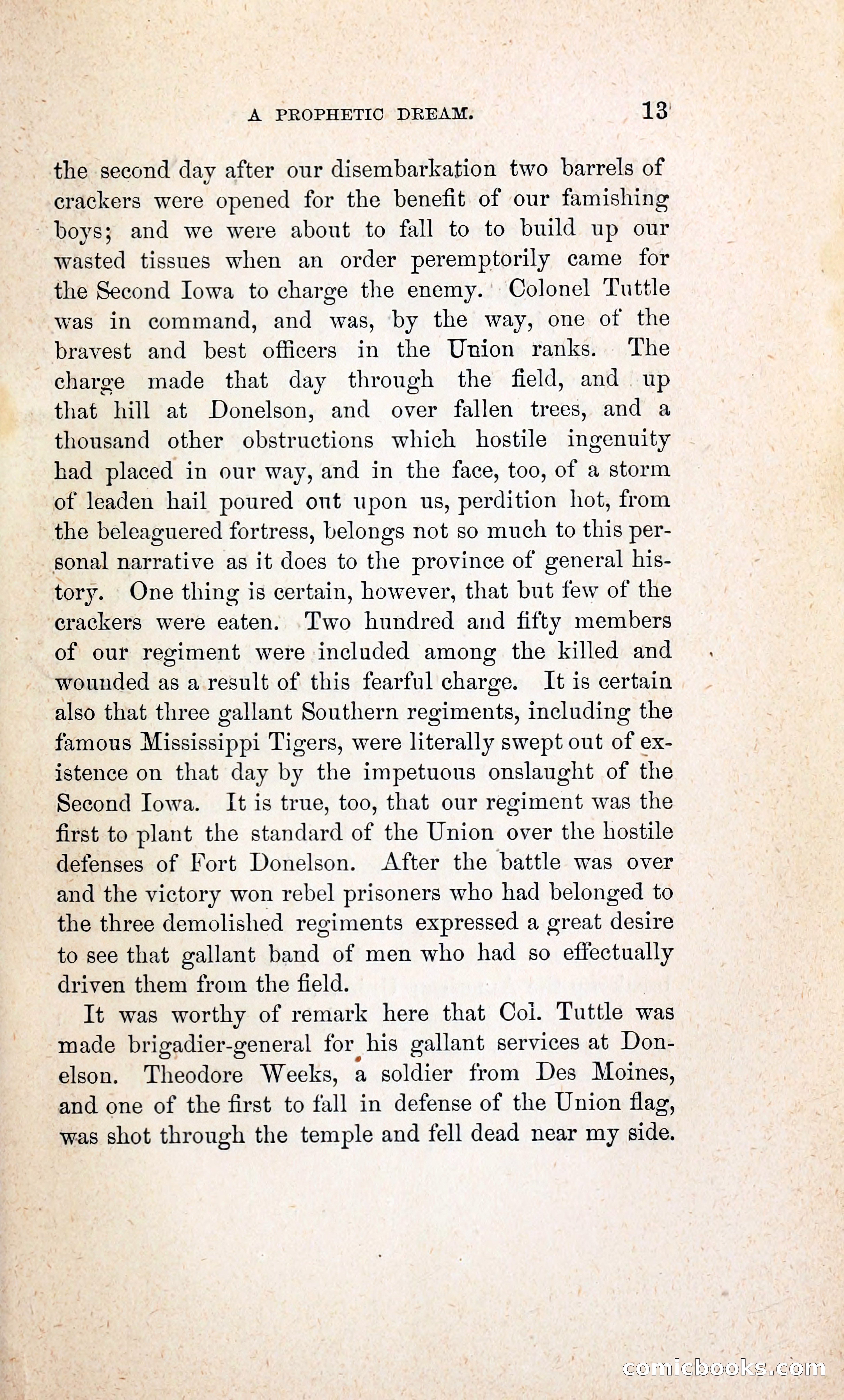 Thrilling Adventures of William Callender, a Union Spy from Des Moines — page 22 of 129