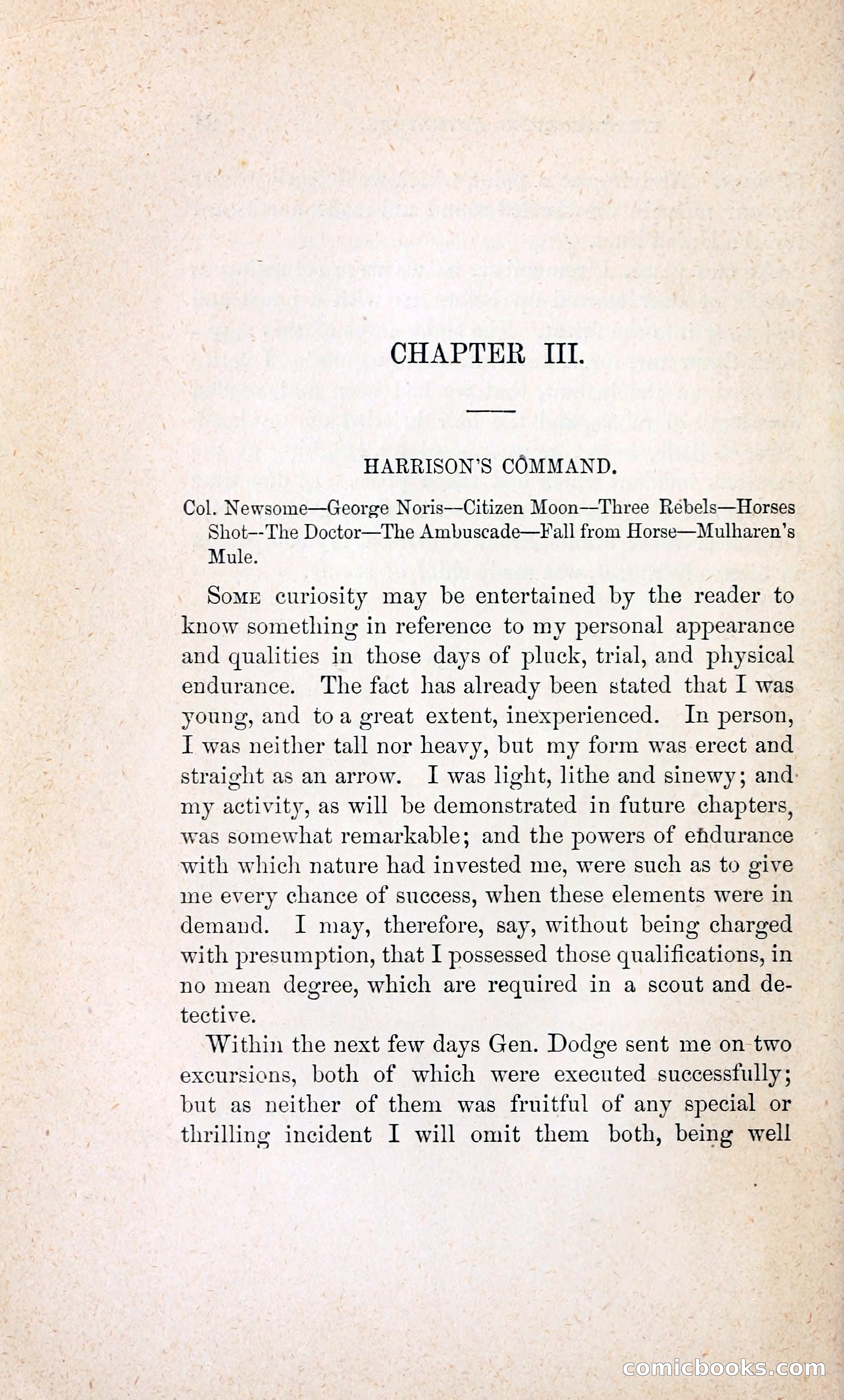 Thrilling Adventures of William Callender, a Union Spy from Des Moines — page 31 of 129