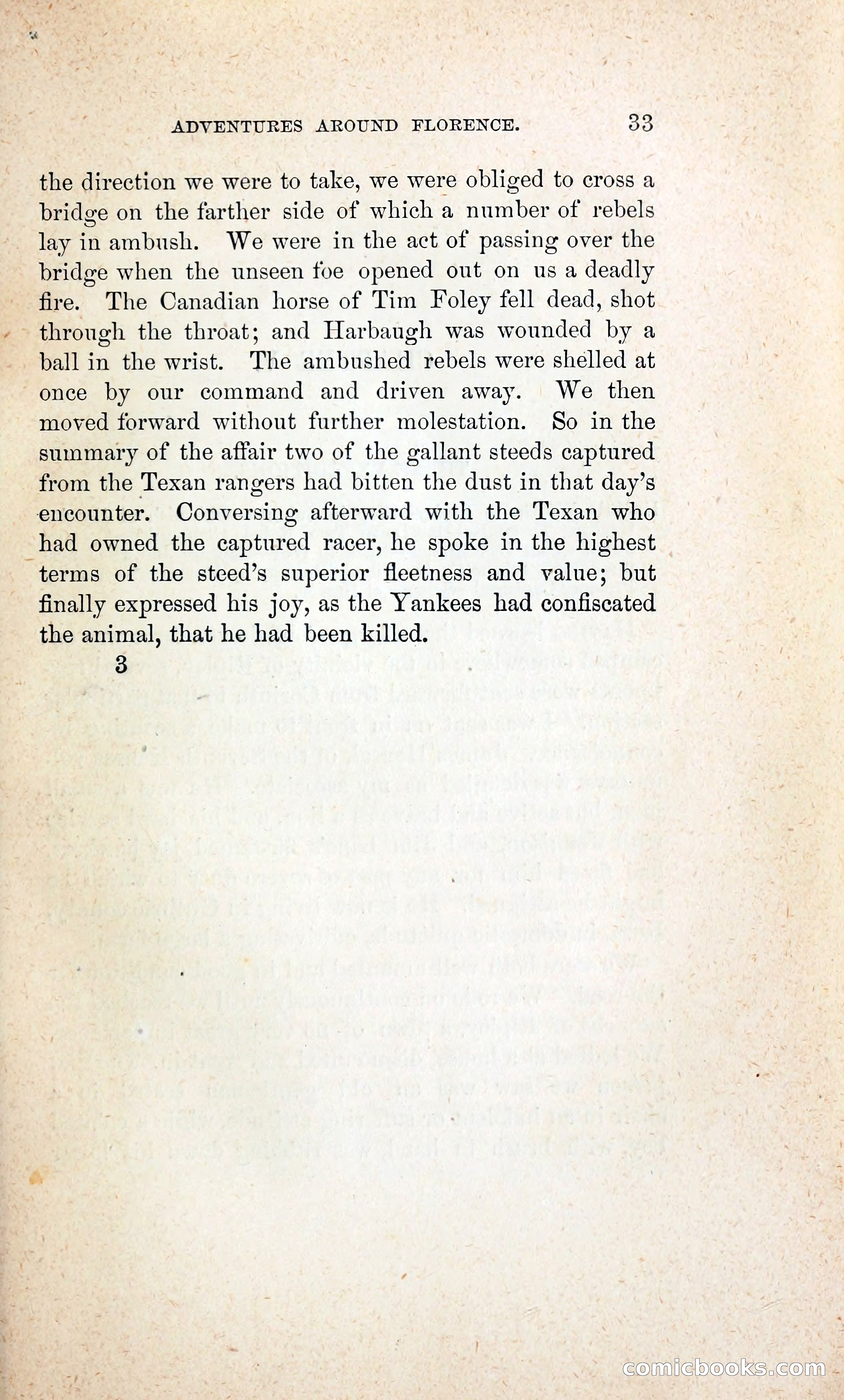 Thrilling Adventures of William Callender, a Union Spy from Des Moines — page 42 of 129