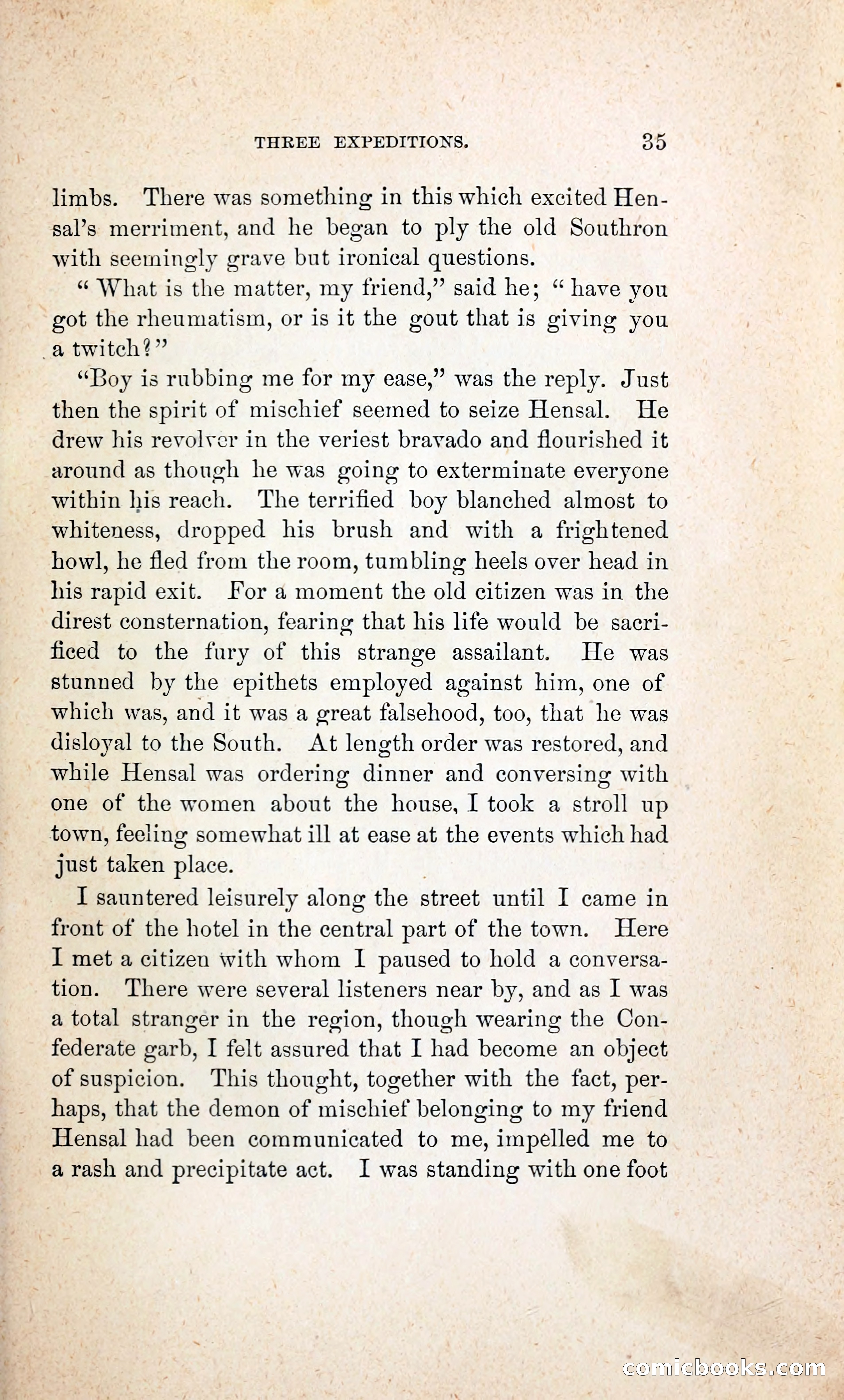 Thrilling Adventures of William Callender, a Union Spy from Des Moines — page 44 of 129