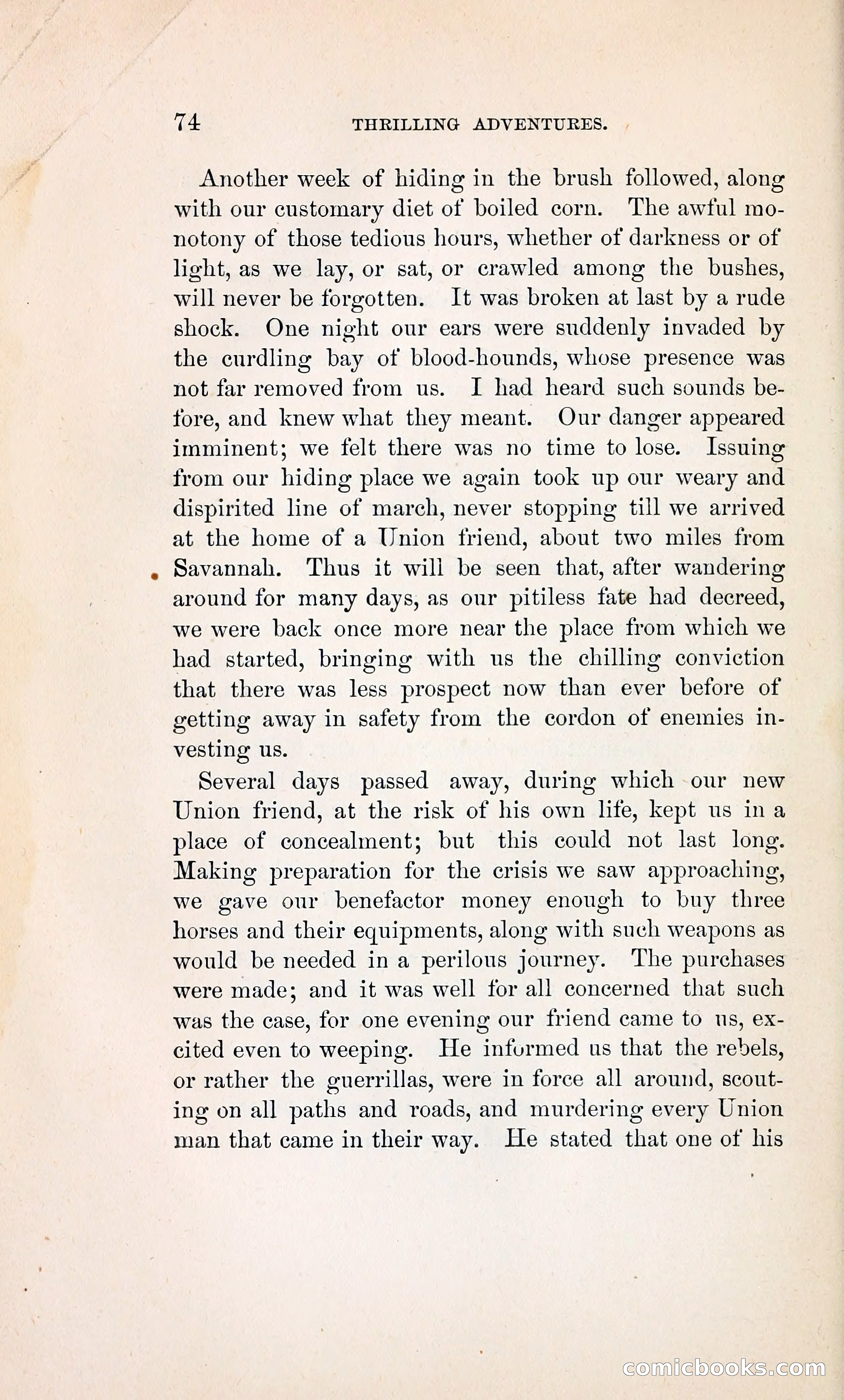 Thrilling Adventures of William Callender, a Union Spy from Des Moines — page 83 of 129