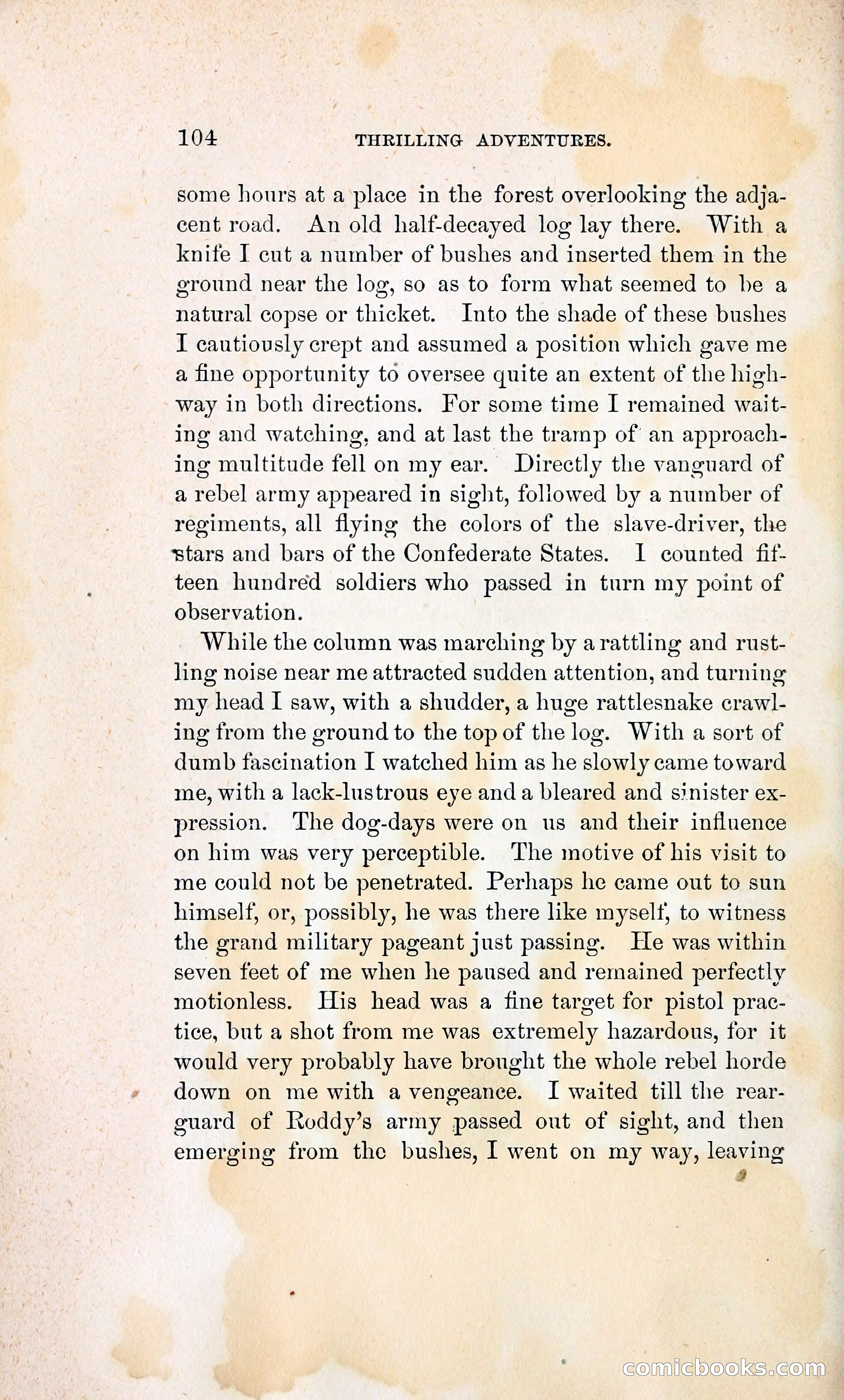 Thrilling Adventures of William Callender, a Union Spy from Des Moines — page 113 of 129