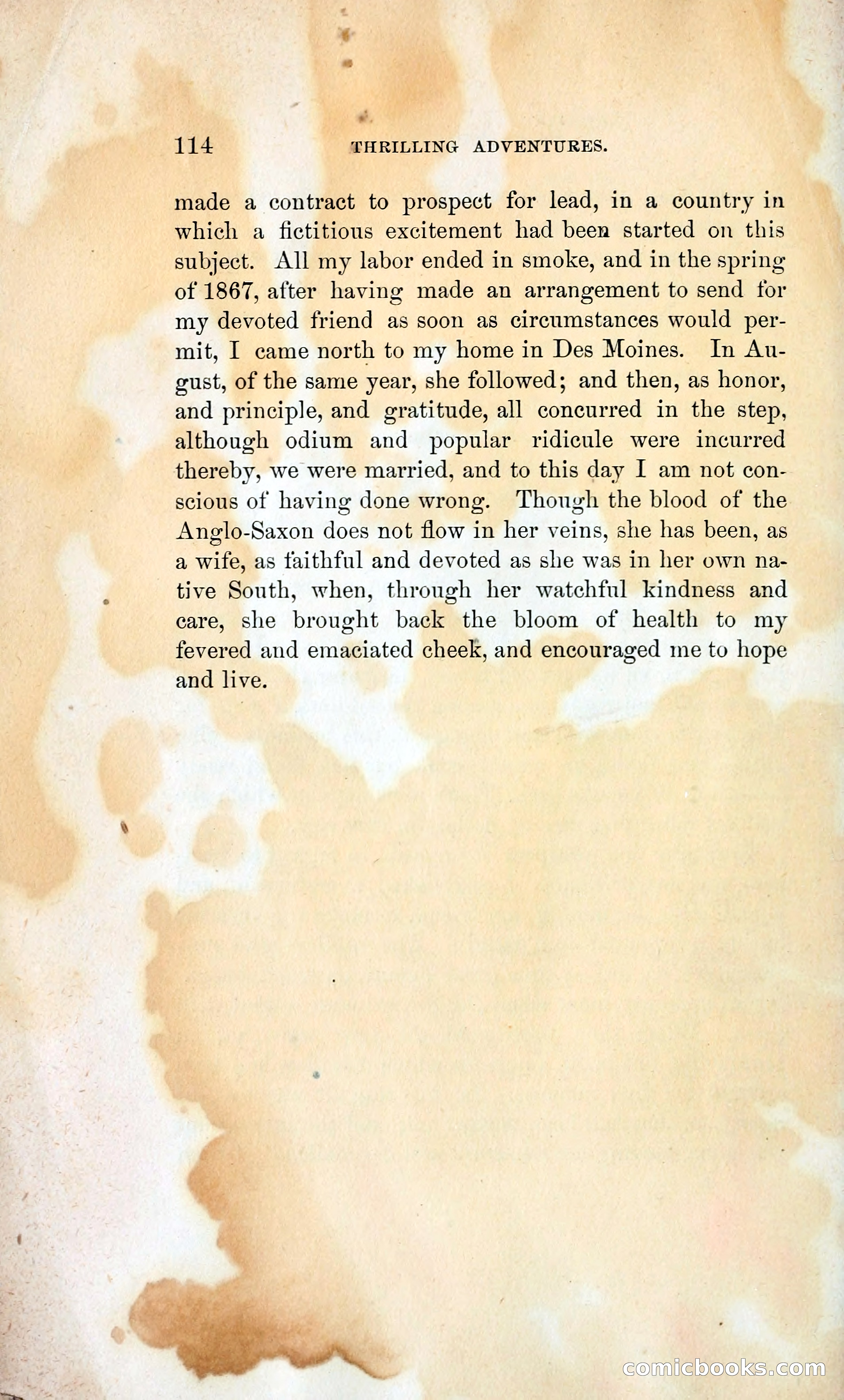 Thrilling Adventures of William Callender, a Union Spy from Des Moines — page 123 of 129