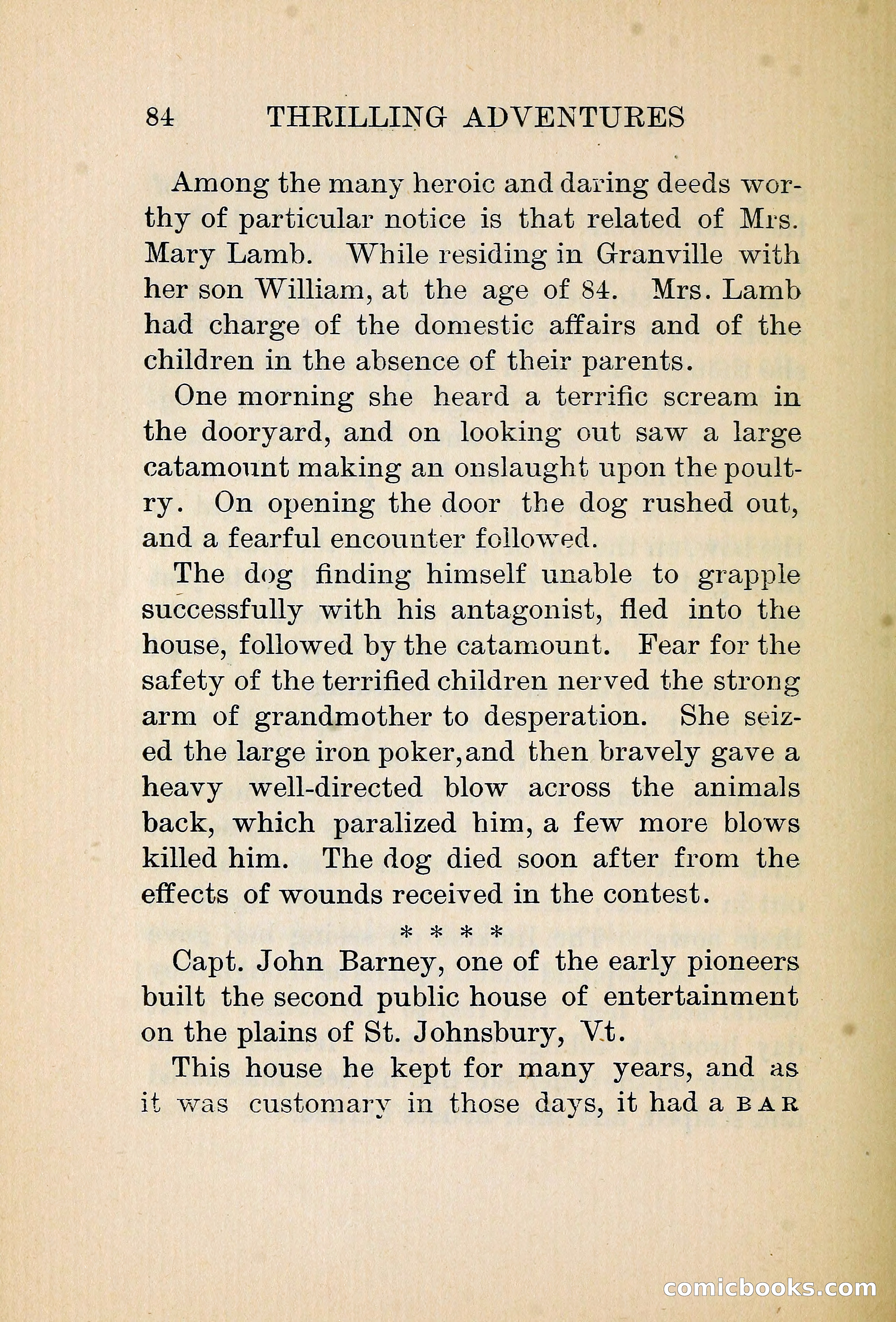Thrilling Adventures and Daring Deeds — page 99 of 257