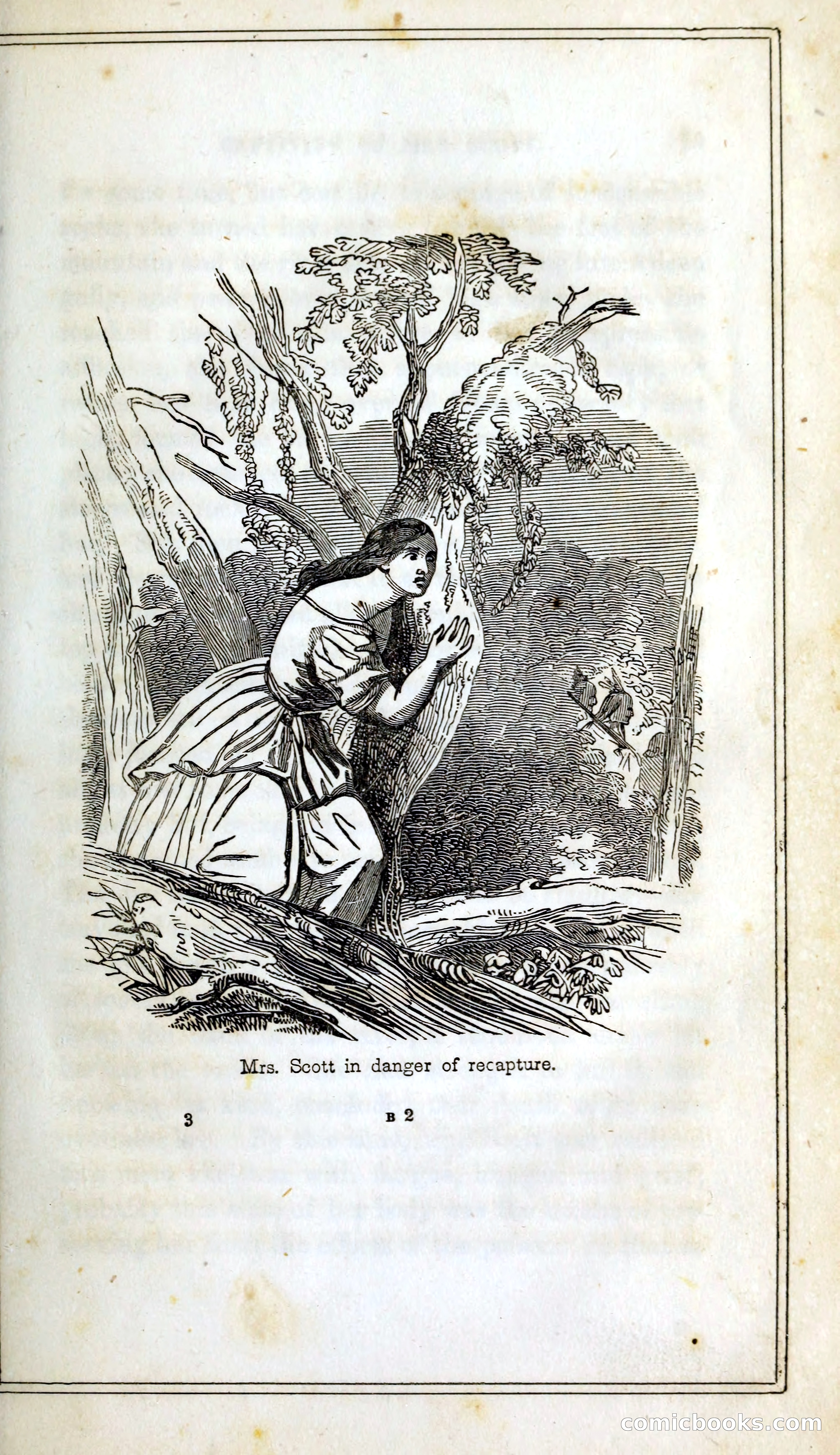 Thrilling Adventures Among the Indians — page 30 of 393