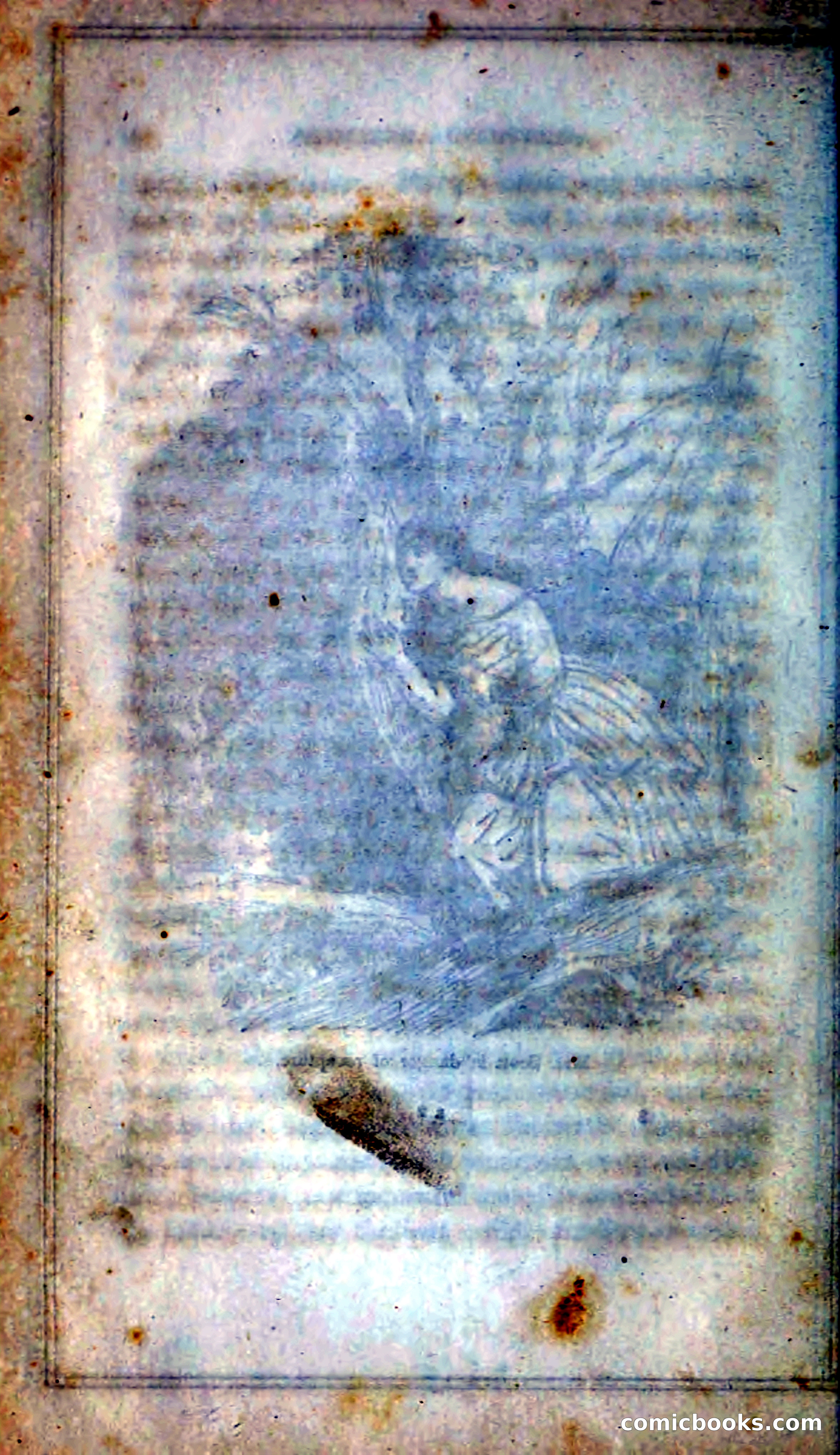 Thrilling Adventures Among the Indians — page 31 of 393