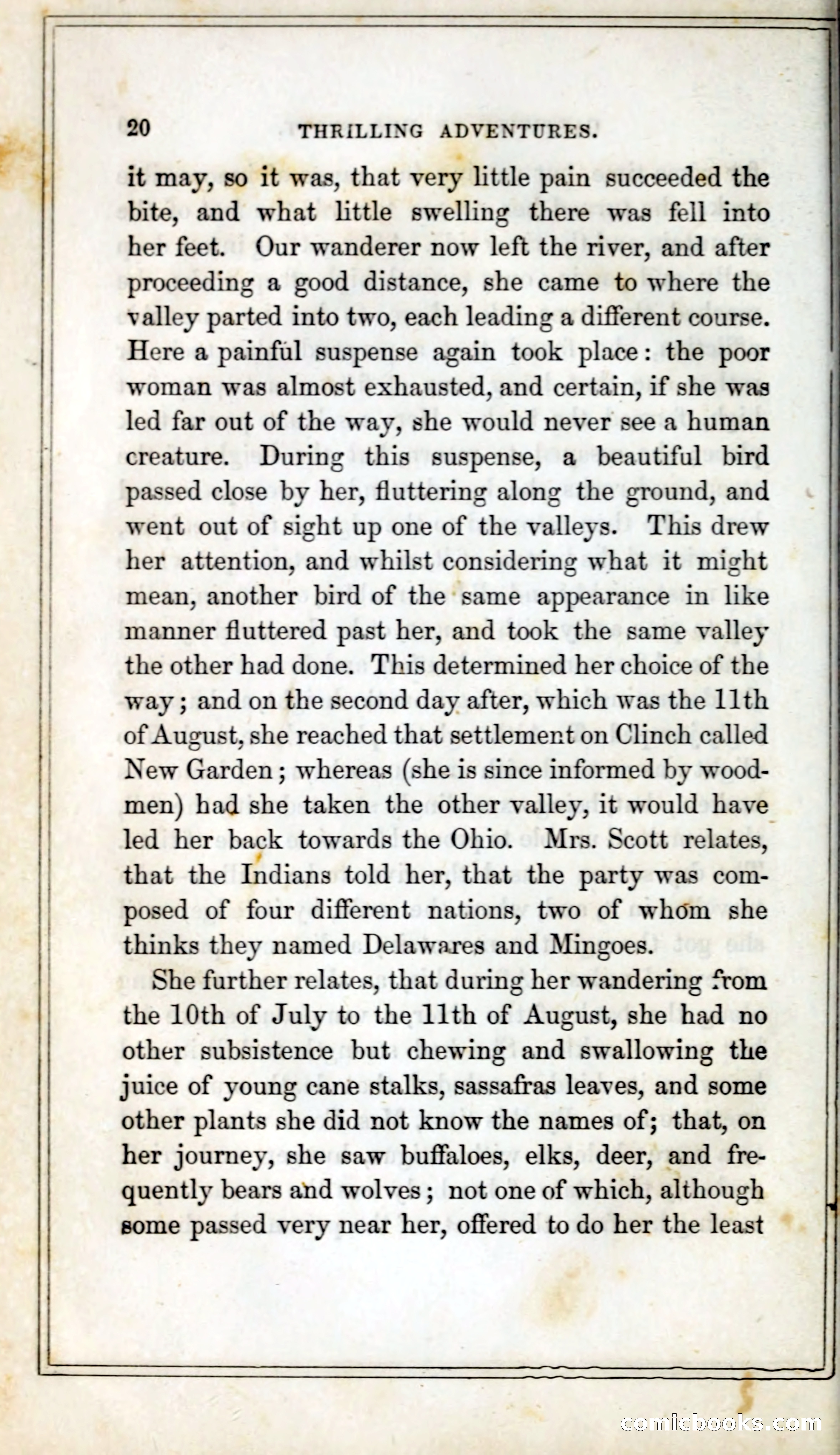 Thrilling Adventures Among the Indians — page 33 of 393