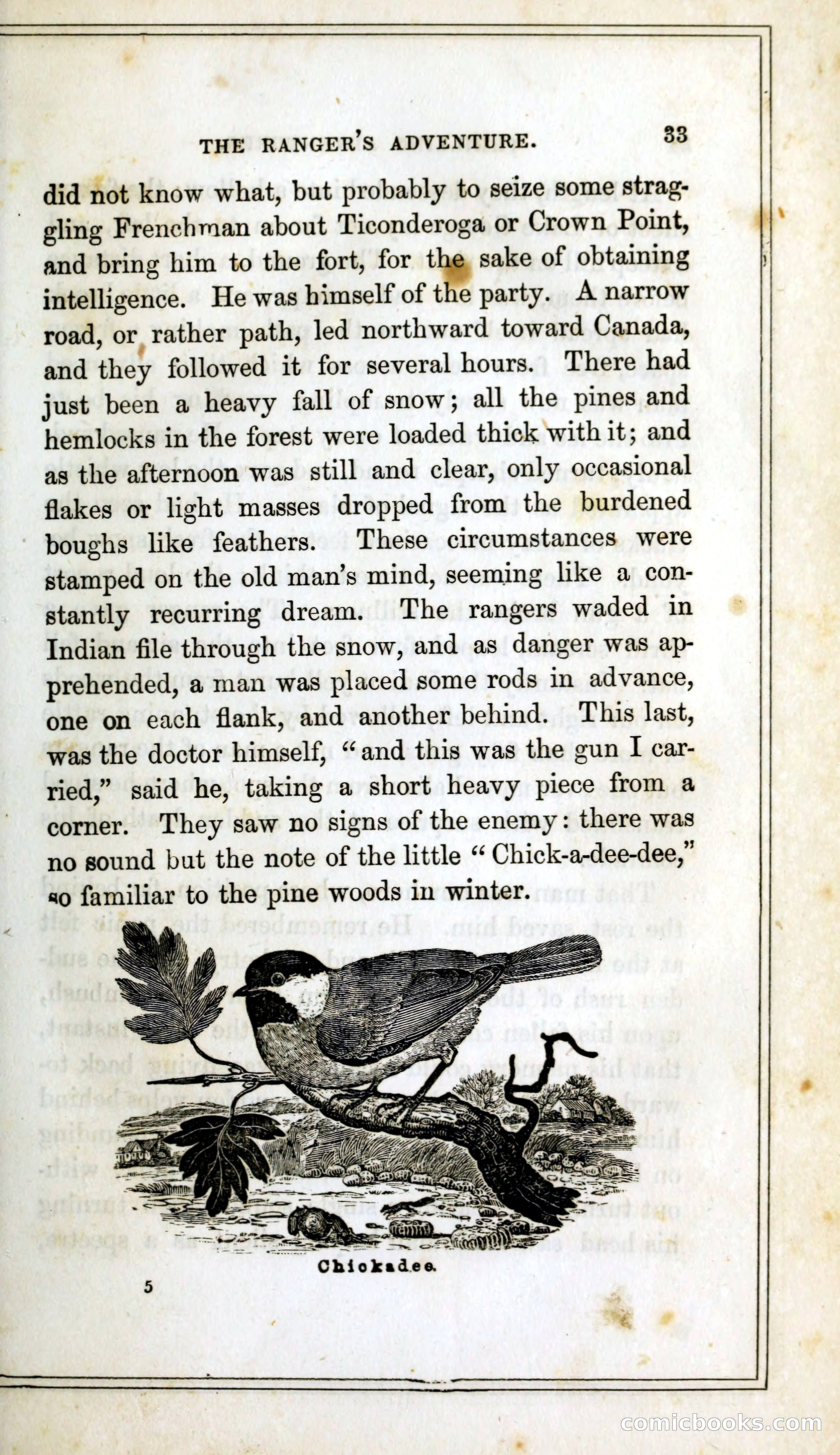 Thrilling Adventures Among the Indians — page 46 of 393