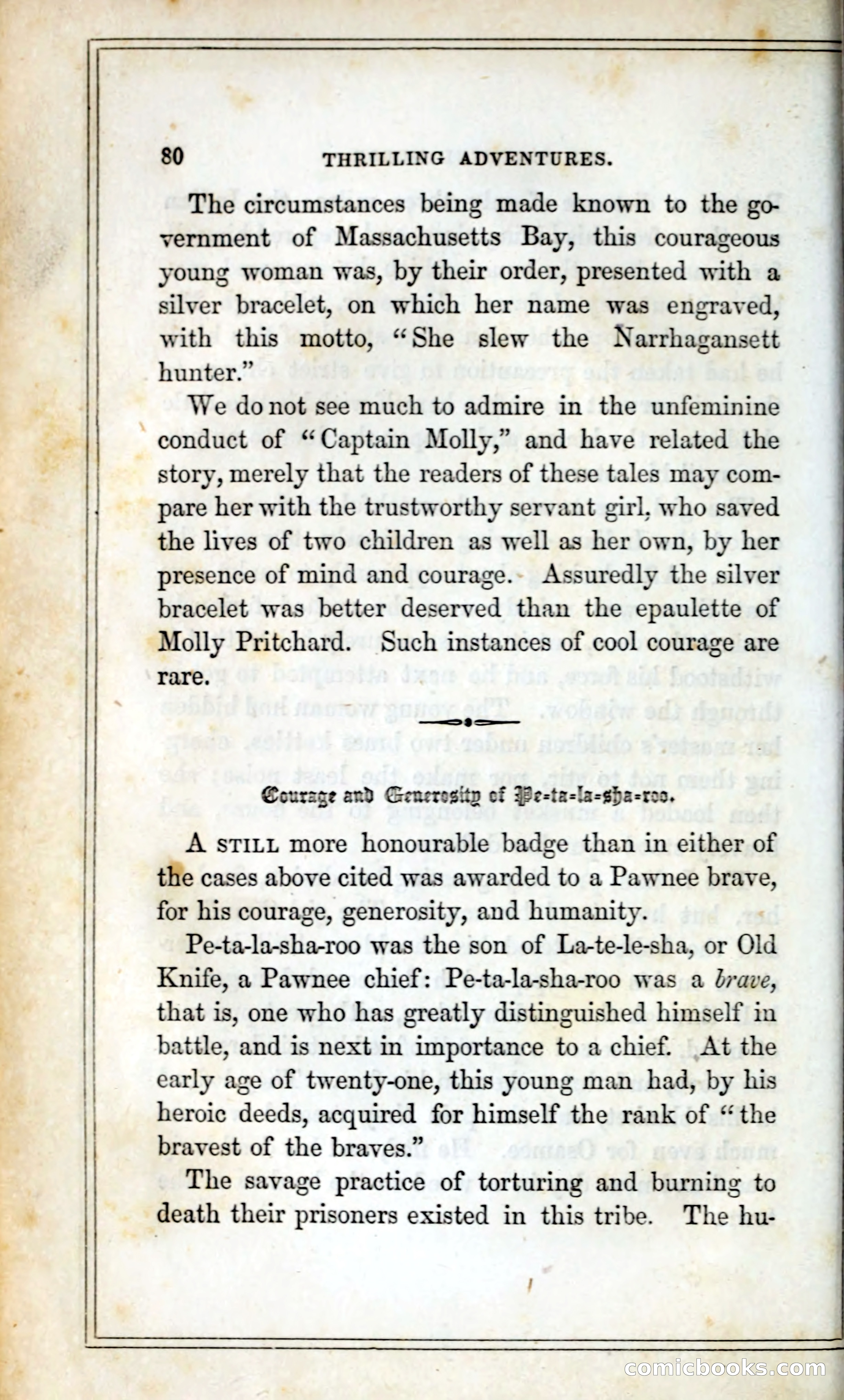Thrilling Adventures Among the Indians — page 93 of 393