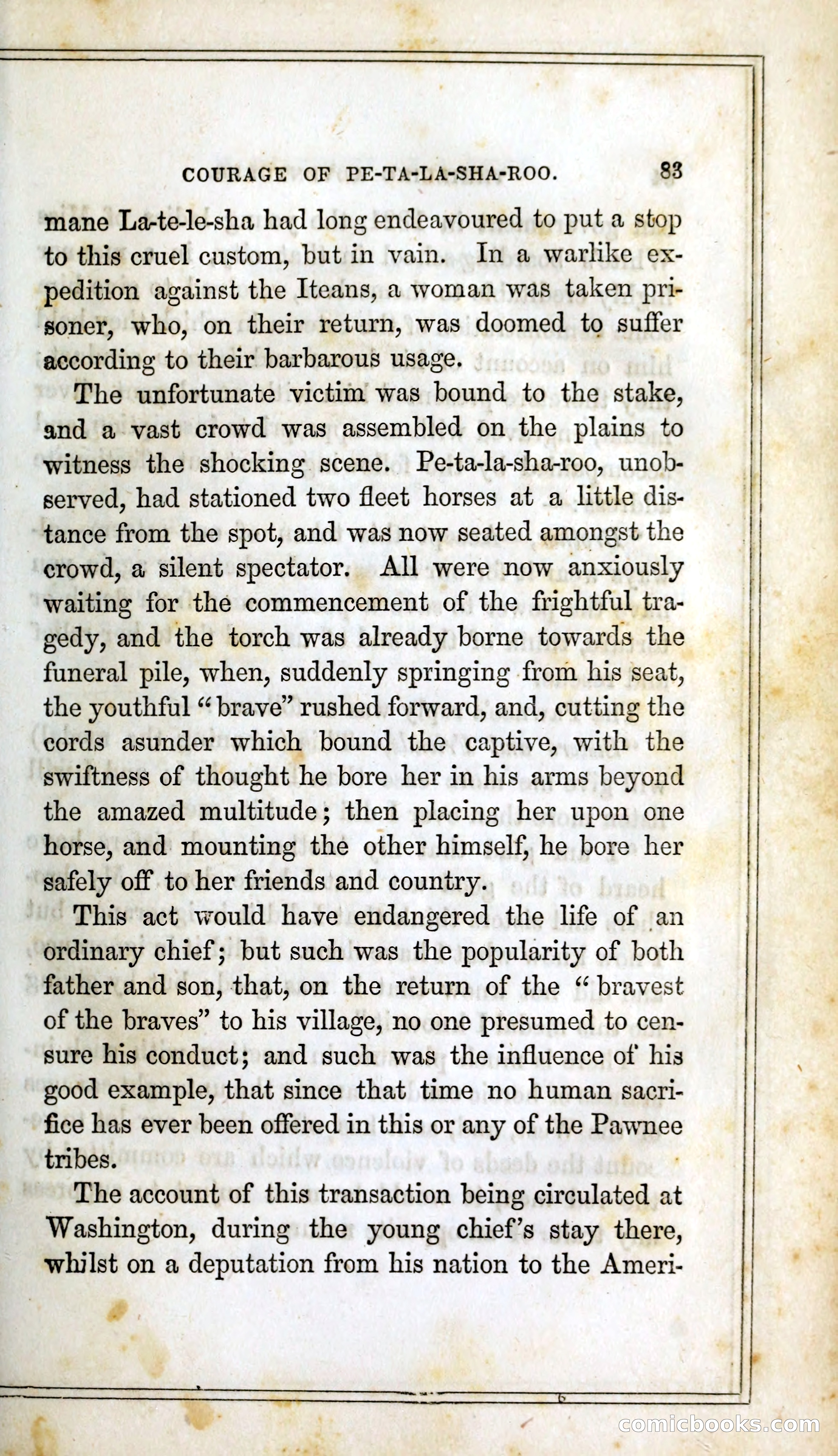 Thrilling Adventures Among the Indians — page 96 of 393