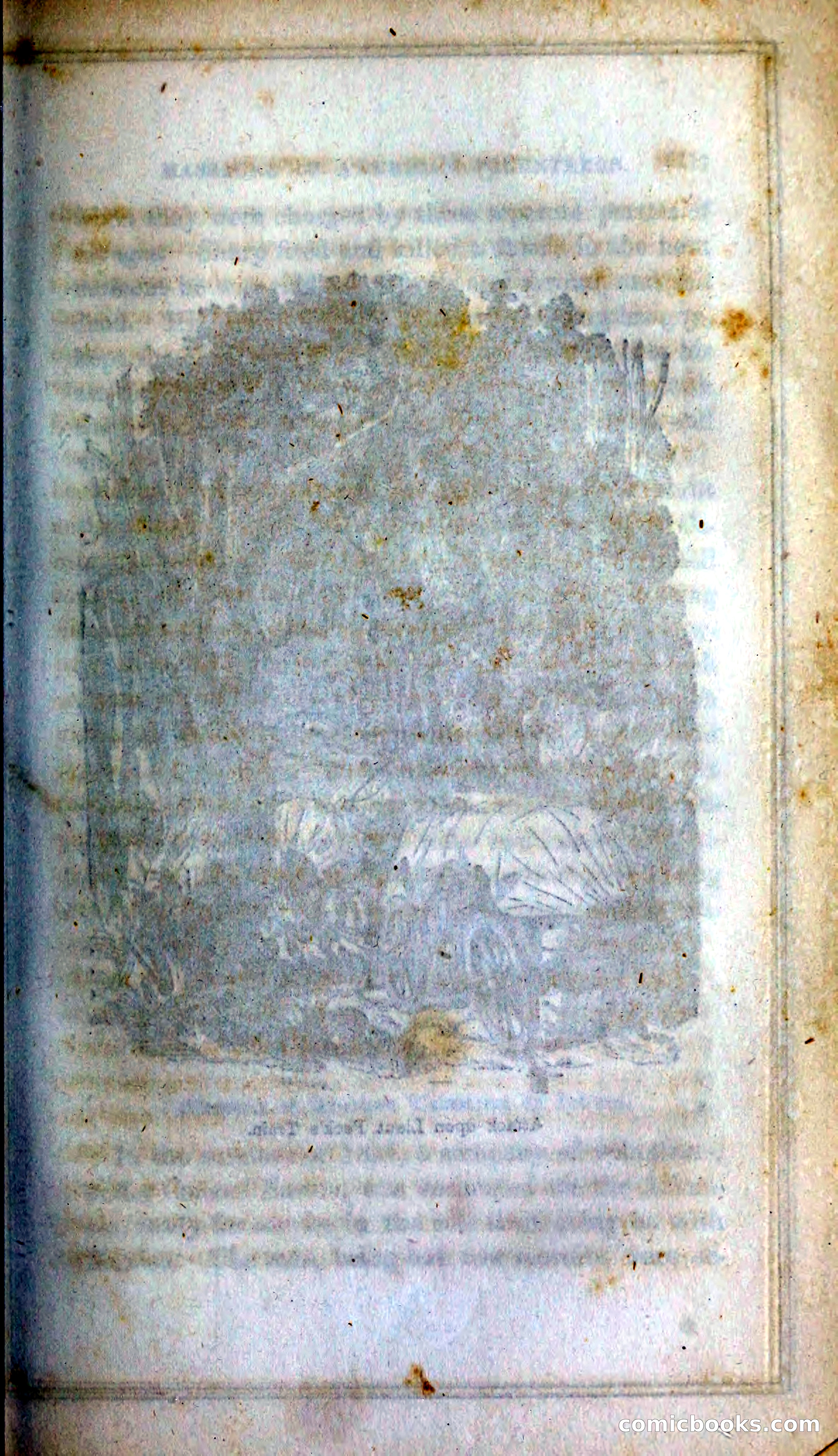 Thrilling Adventures Among the Indians — page 128 of 393