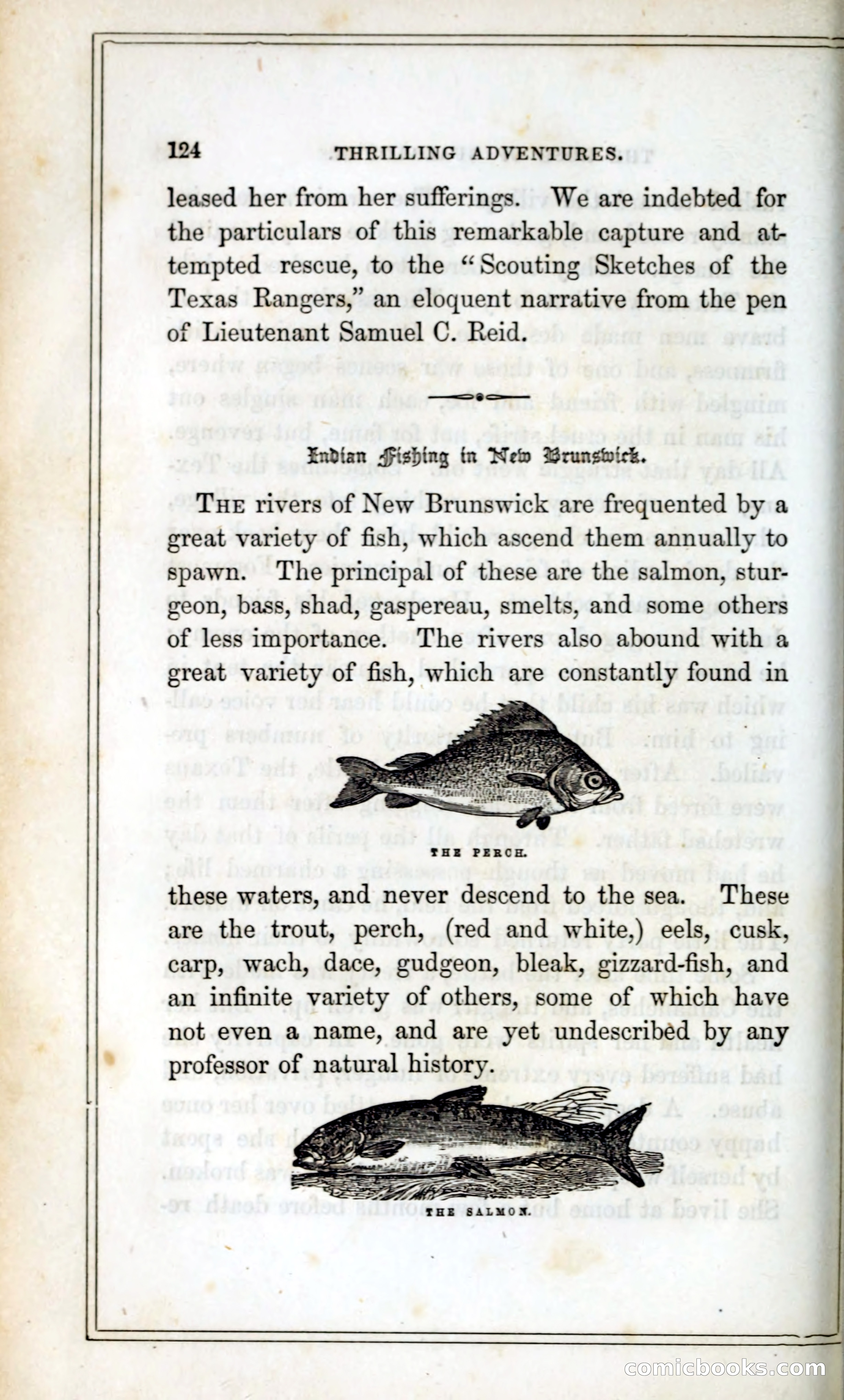 Thrilling Adventures Among the Indians — page 137 of 393