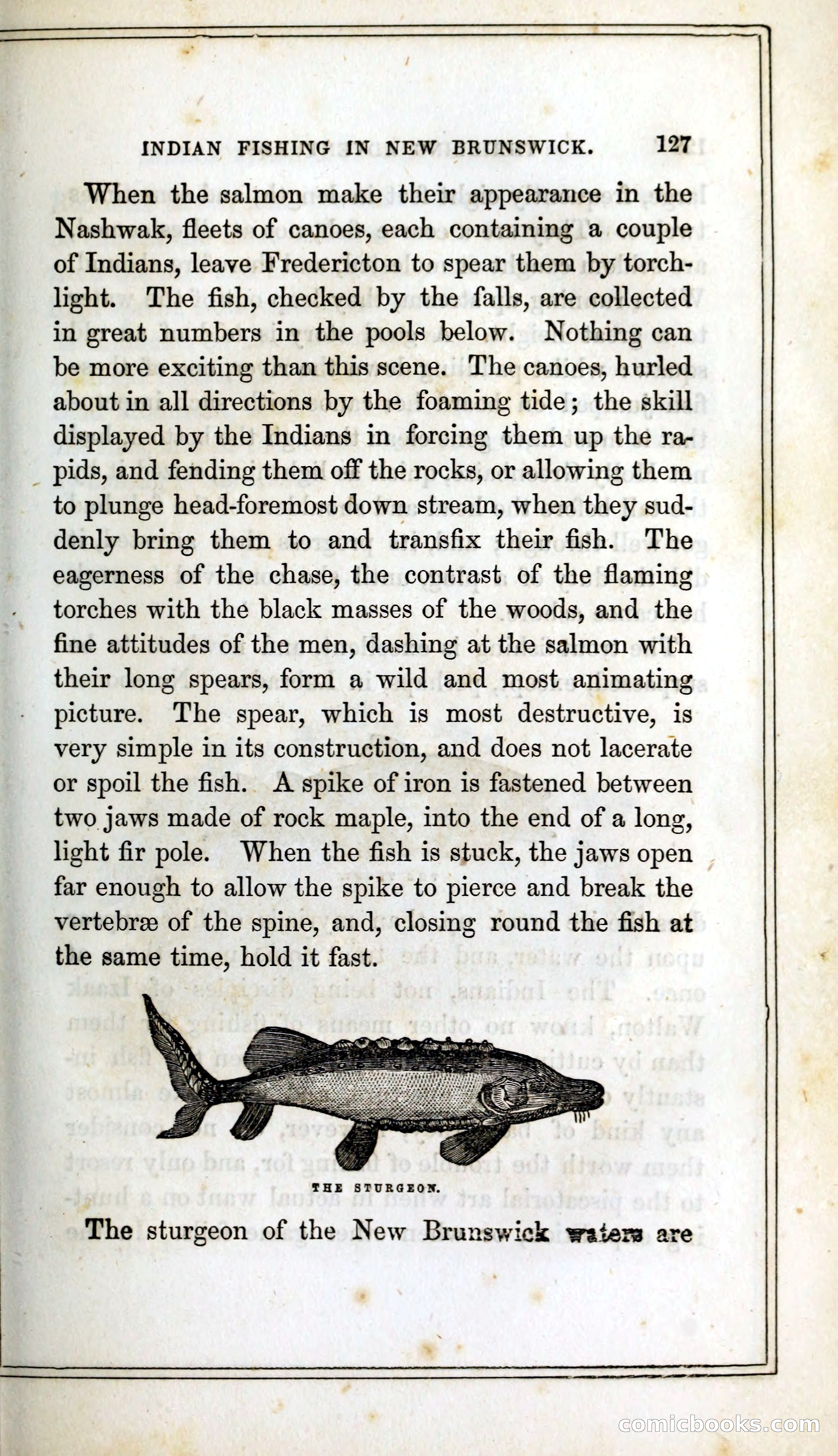 Thrilling Adventures Among the Indians — page 140 of 393