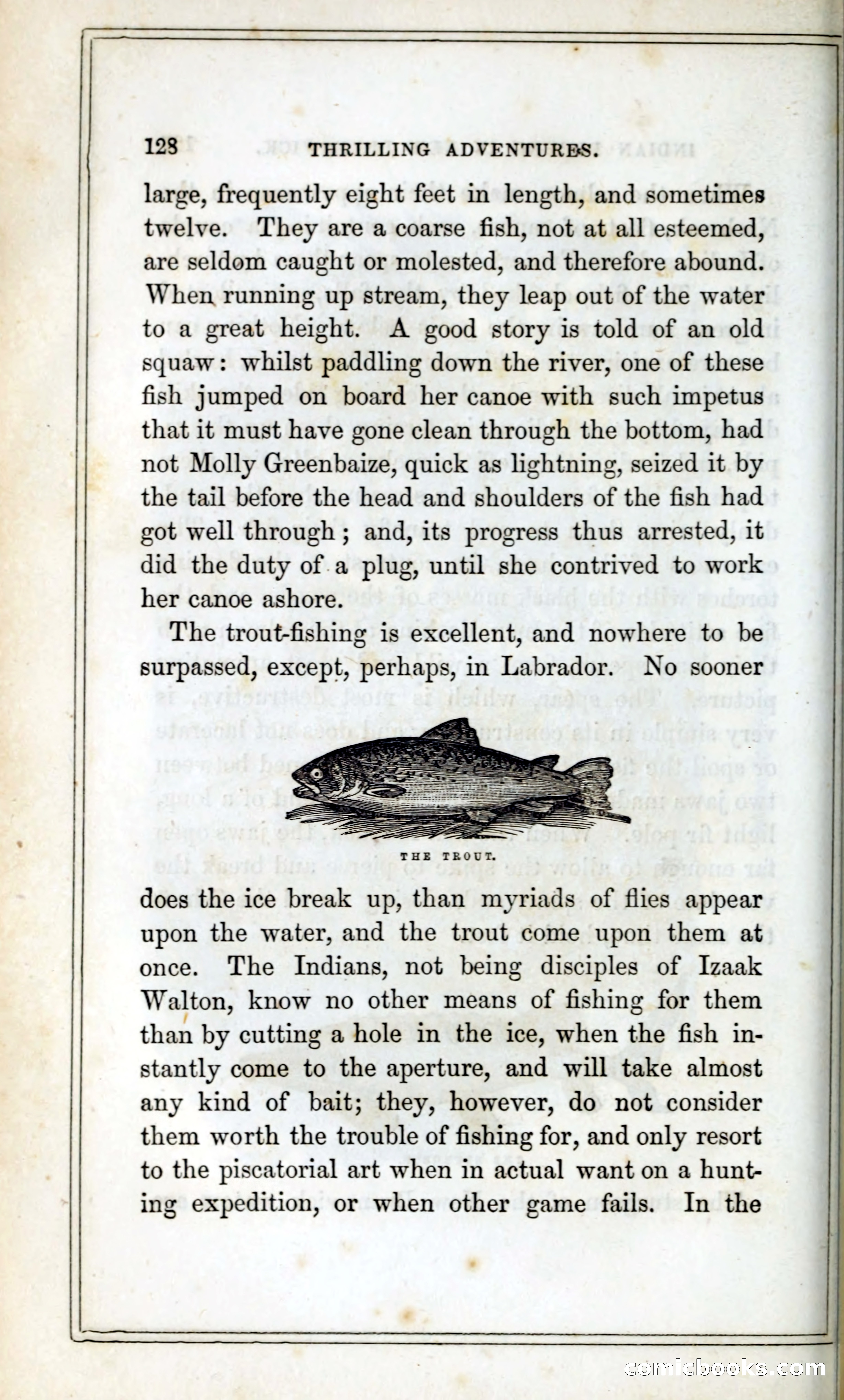 Thrilling Adventures Among the Indians — page 141 of 393