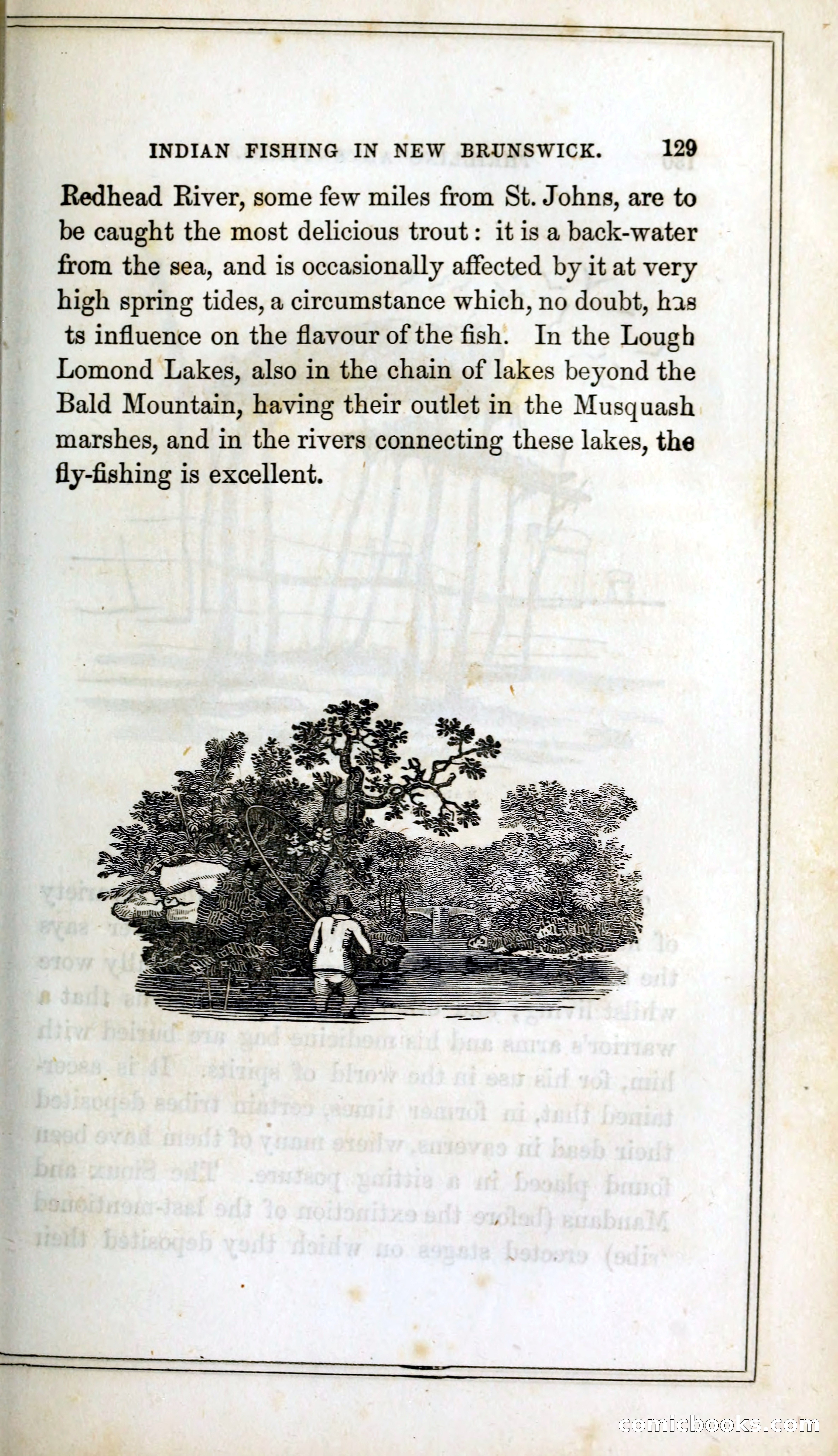 Thrilling Adventures Among the Indians — page 142 of 393
