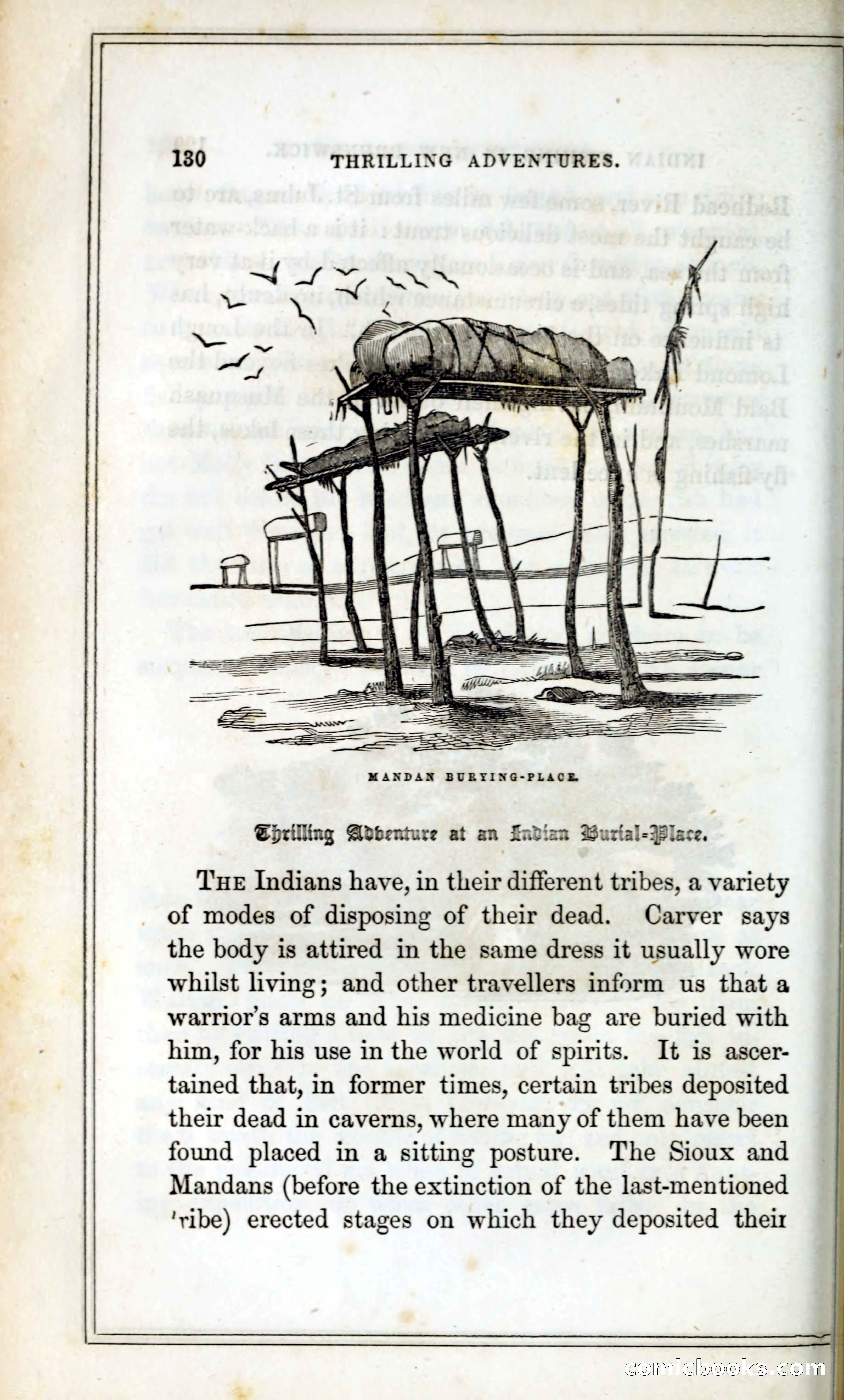 Thrilling Adventures Among the Indians — page 143 of 393