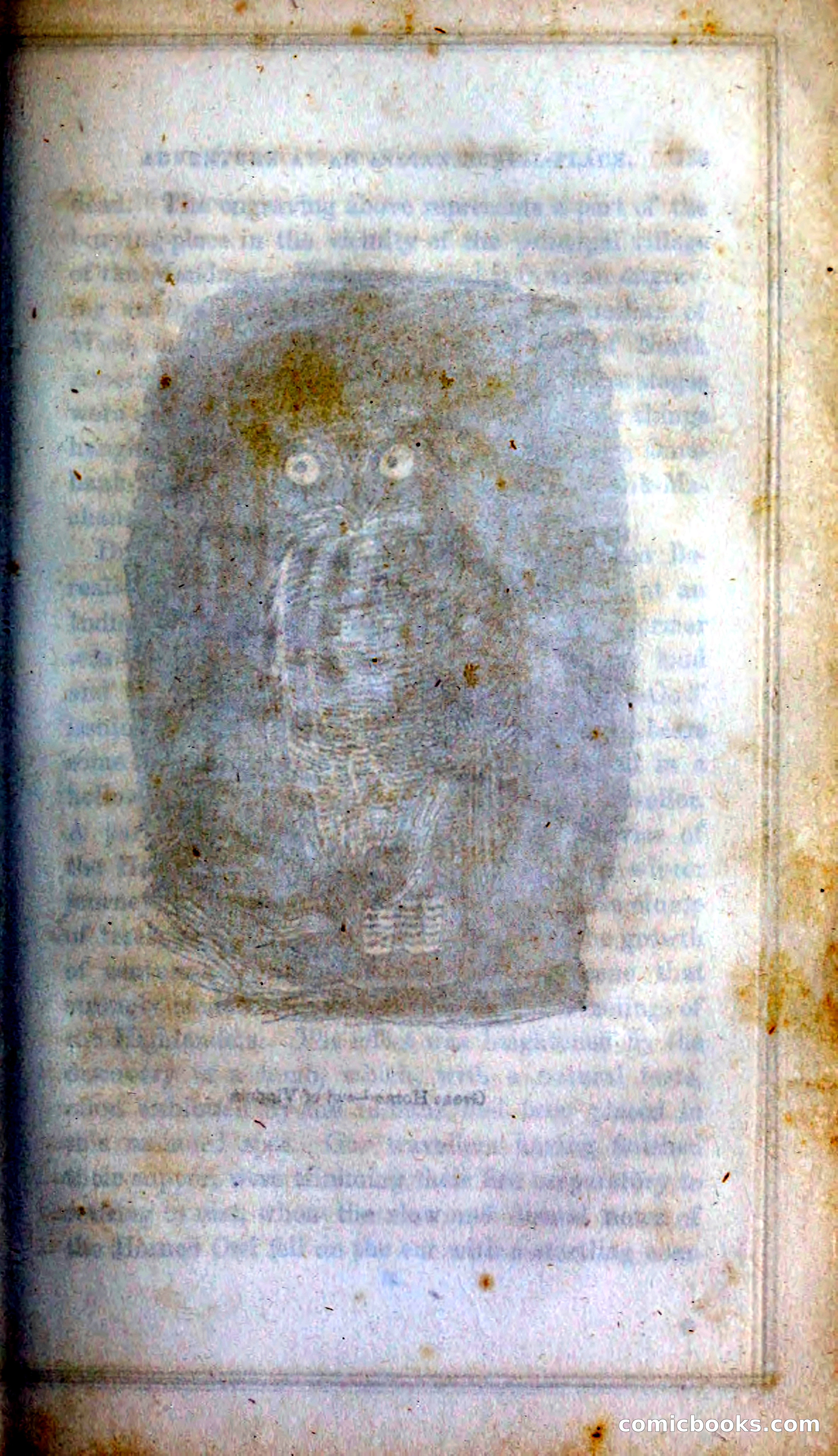 Thrilling Adventures Among the Indians — page 144 of 393