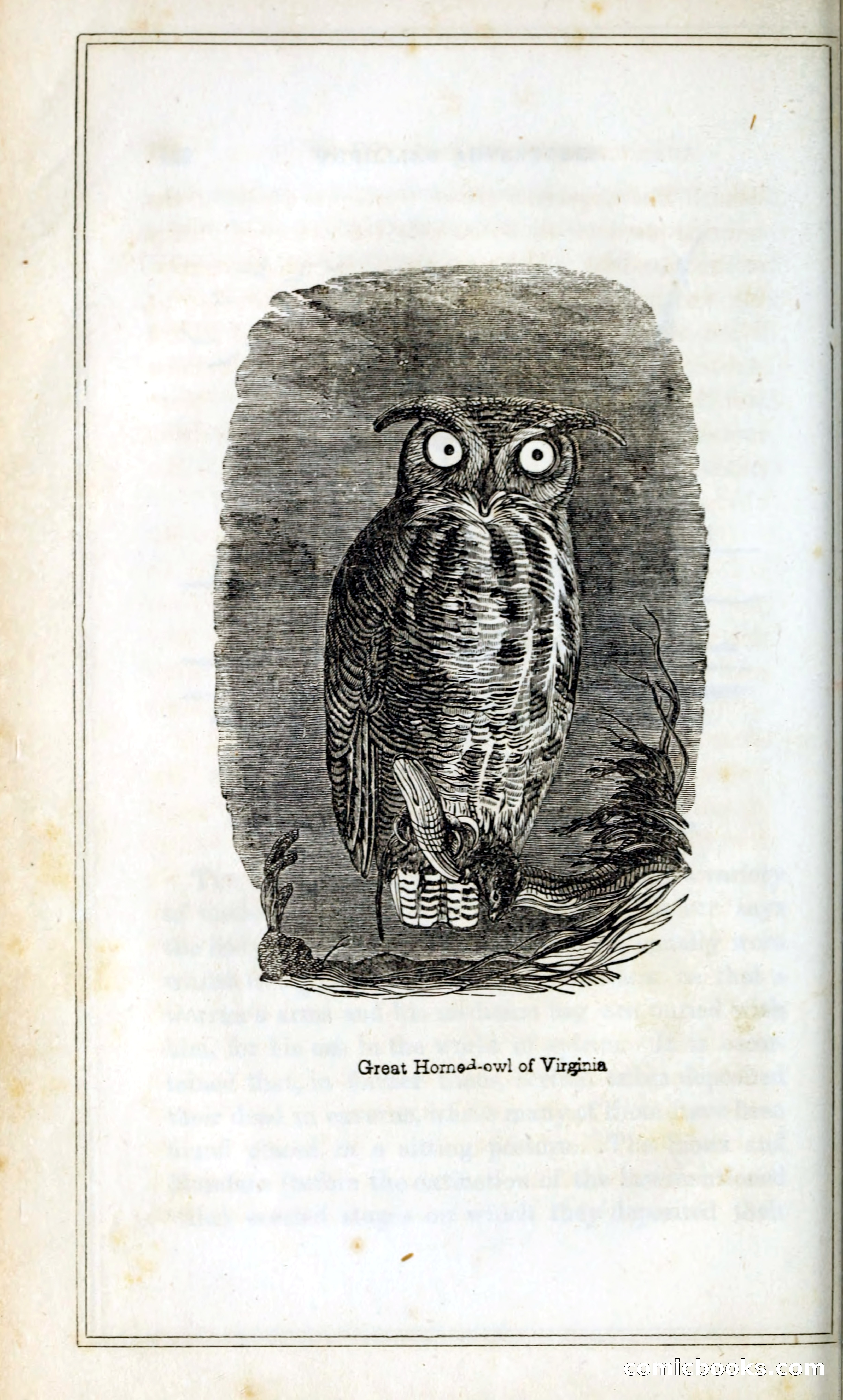 Thrilling Adventures Among the Indians — page 145 of 393