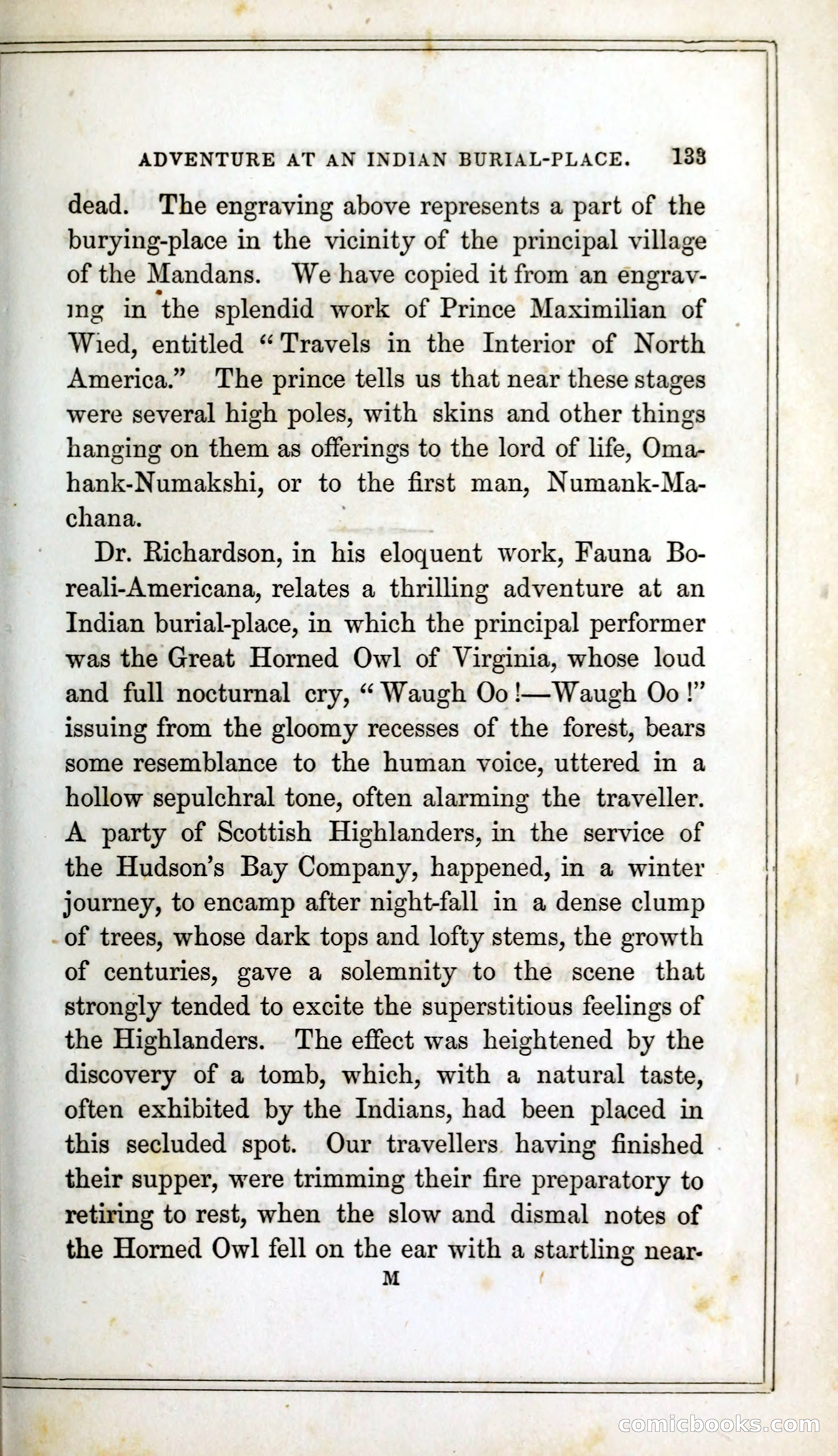 Thrilling Adventures Among the Indians — page 146 of 393