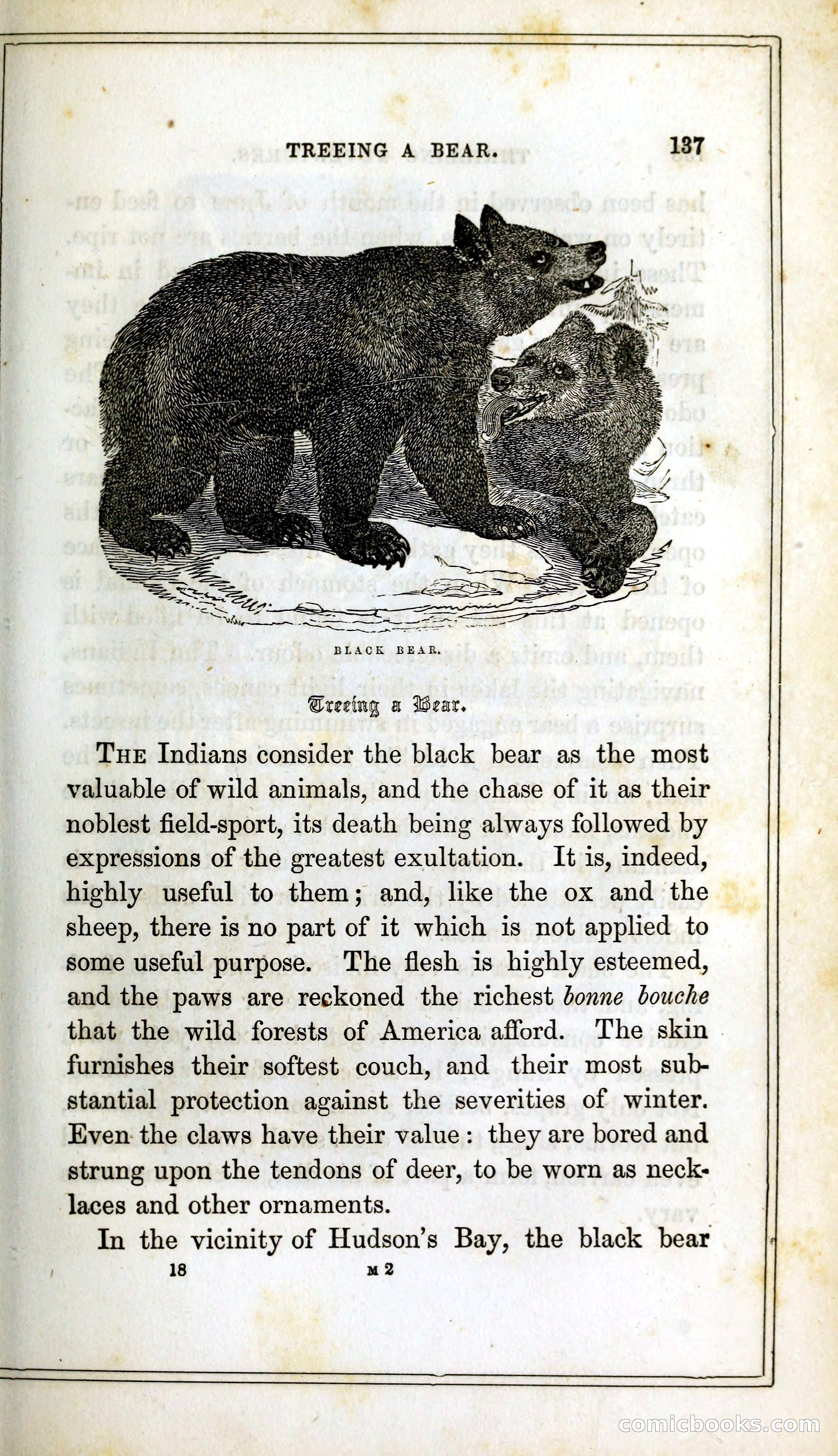 Thrilling Adventures Among the Indians — page 150 of 393