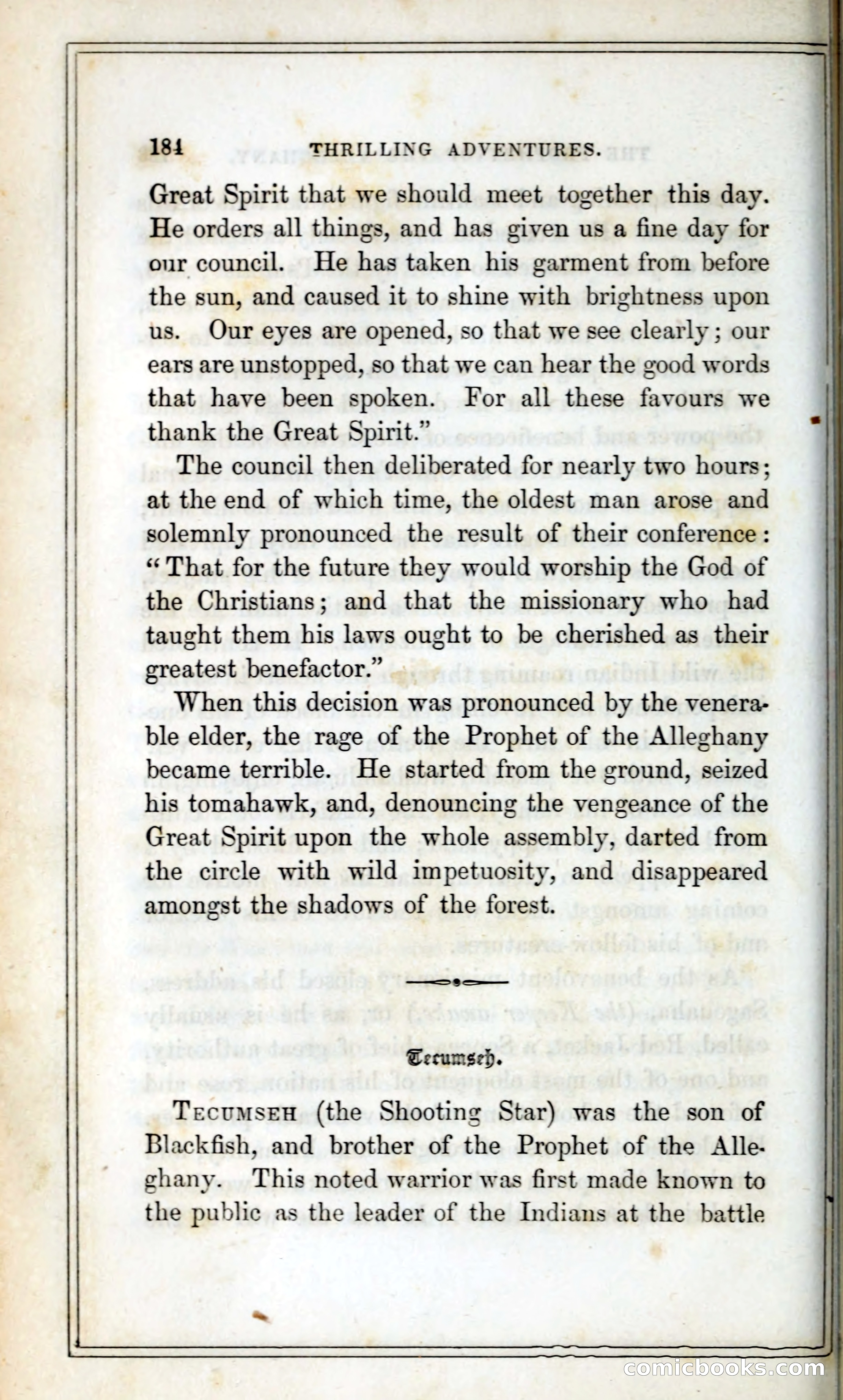 Thrilling Adventures Among the Indians — page 197 of 393