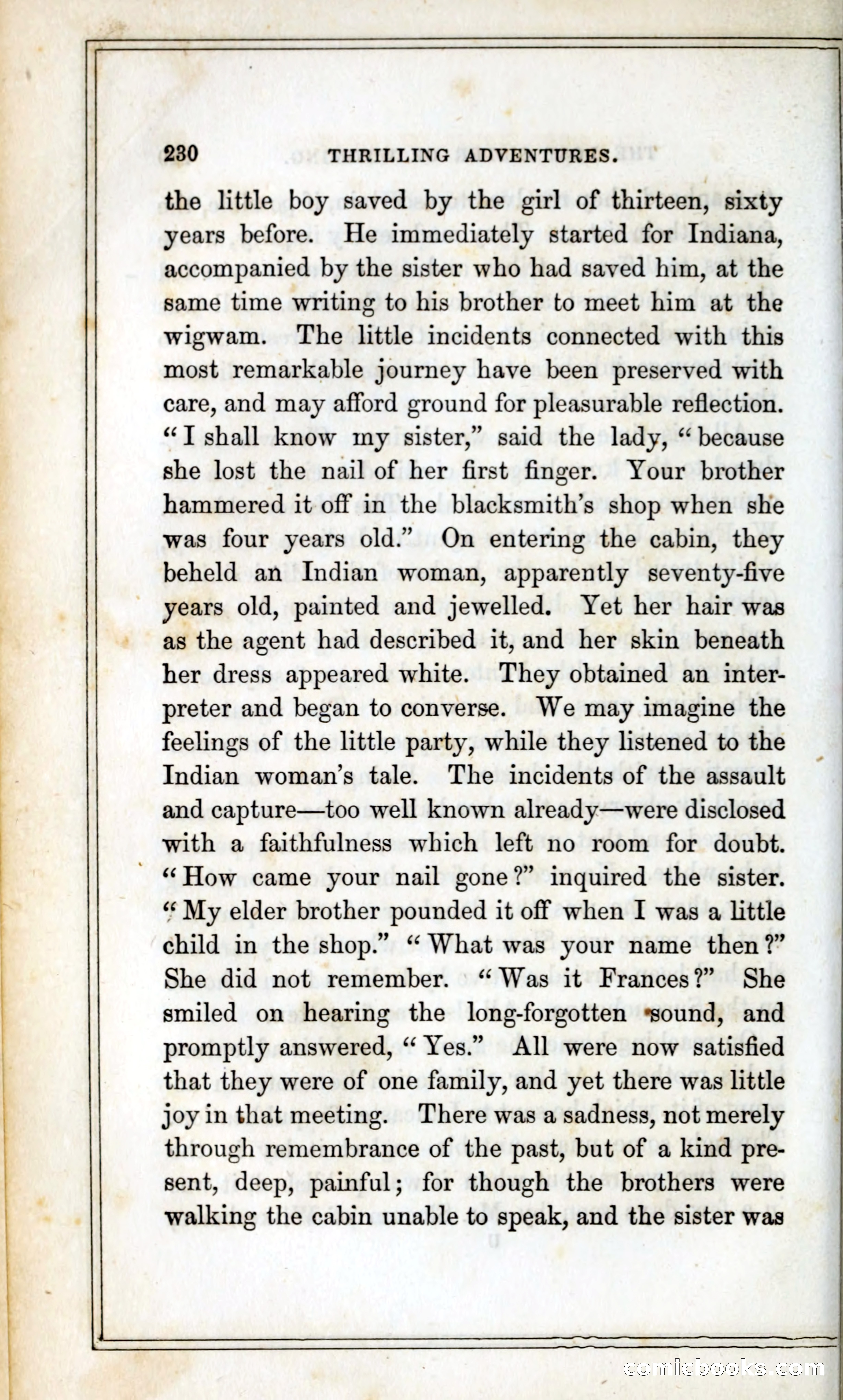 Thrilling Adventures Among the Indians — page 243 of 393