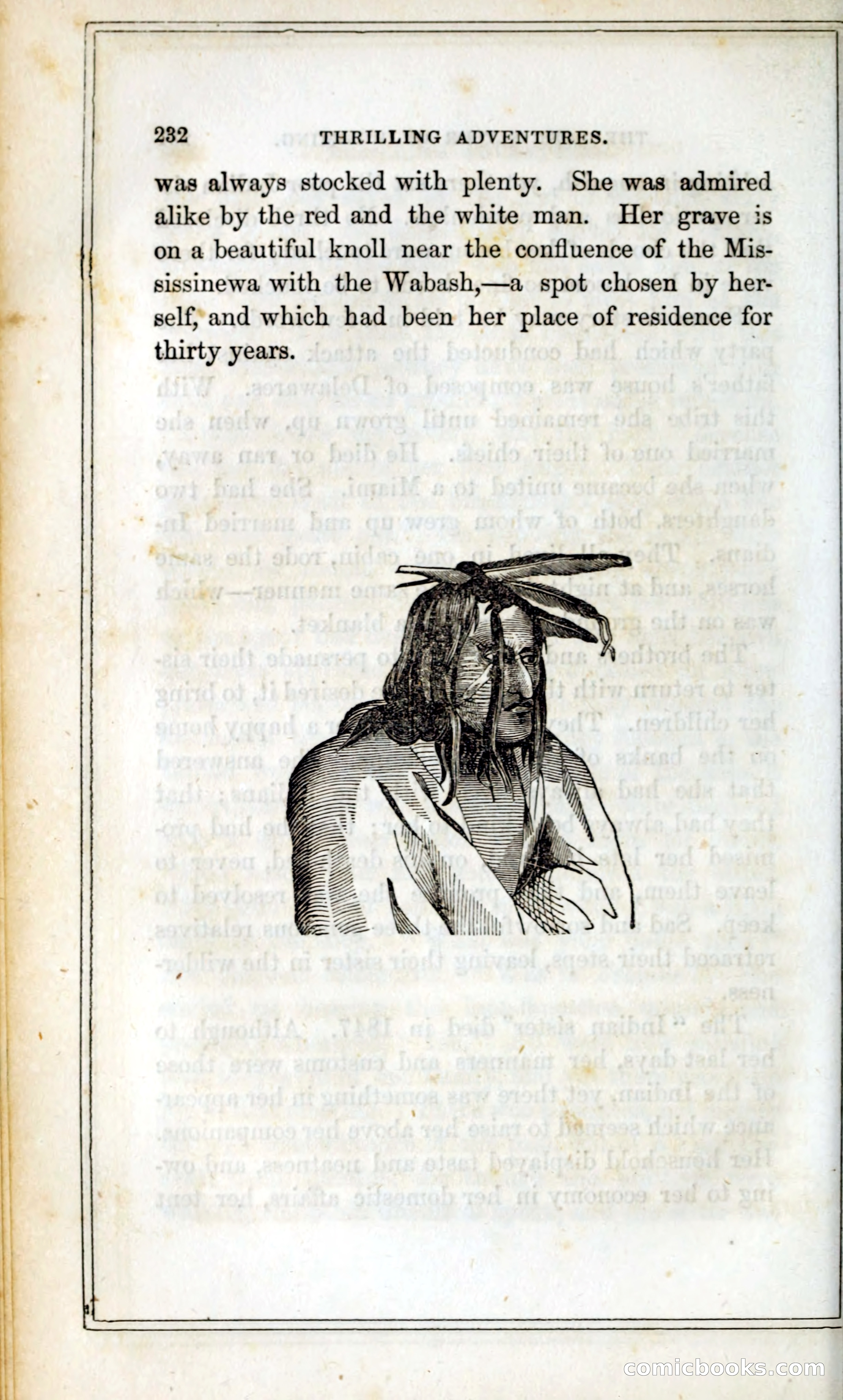 Thrilling Adventures Among the Indians — page 245 of 393