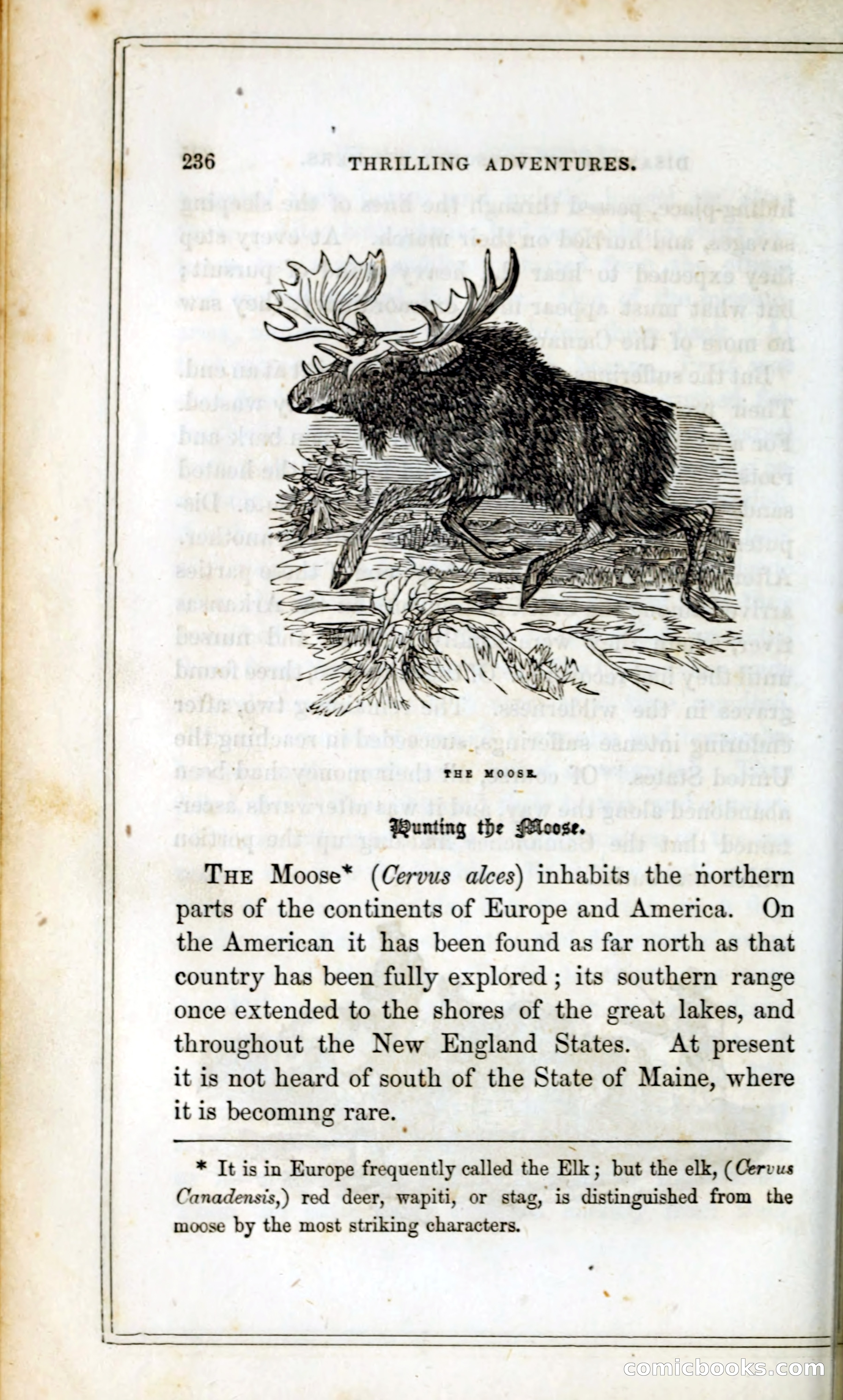 Thrilling Adventures Among the Indians — page 249 of 393