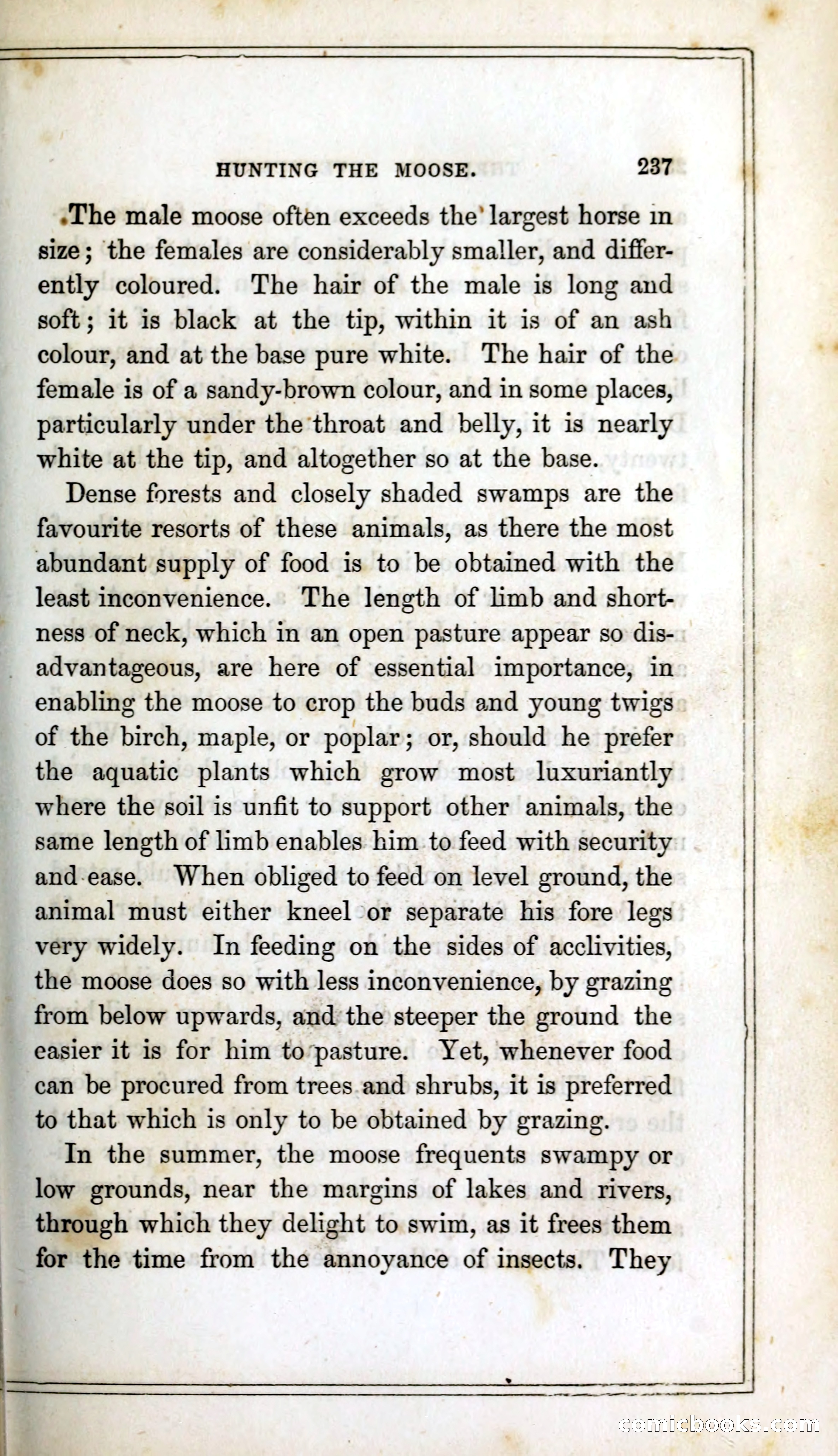 Thrilling Adventures Among the Indians — page 250 of 393