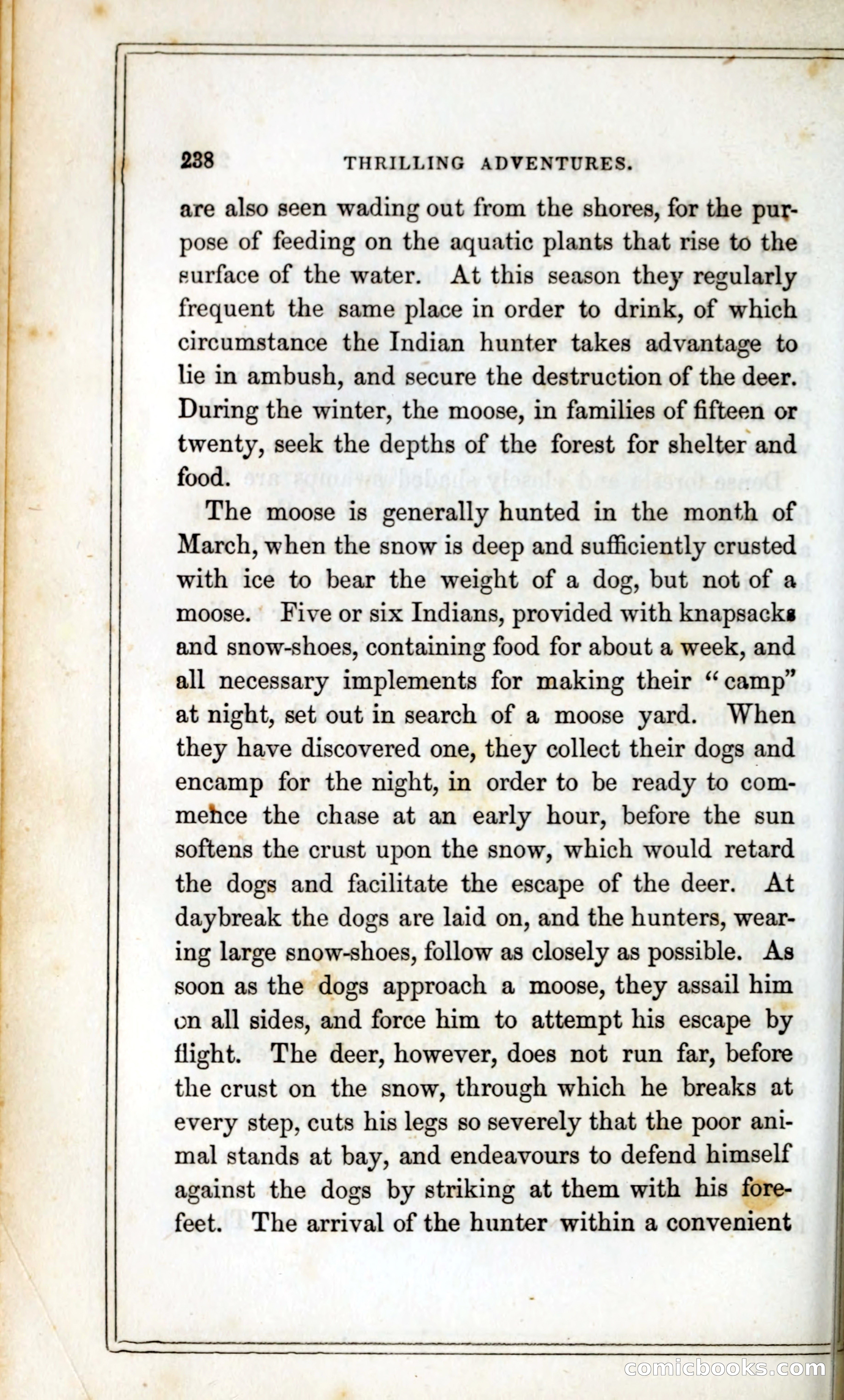 Thrilling Adventures Among the Indians — page 251 of 393