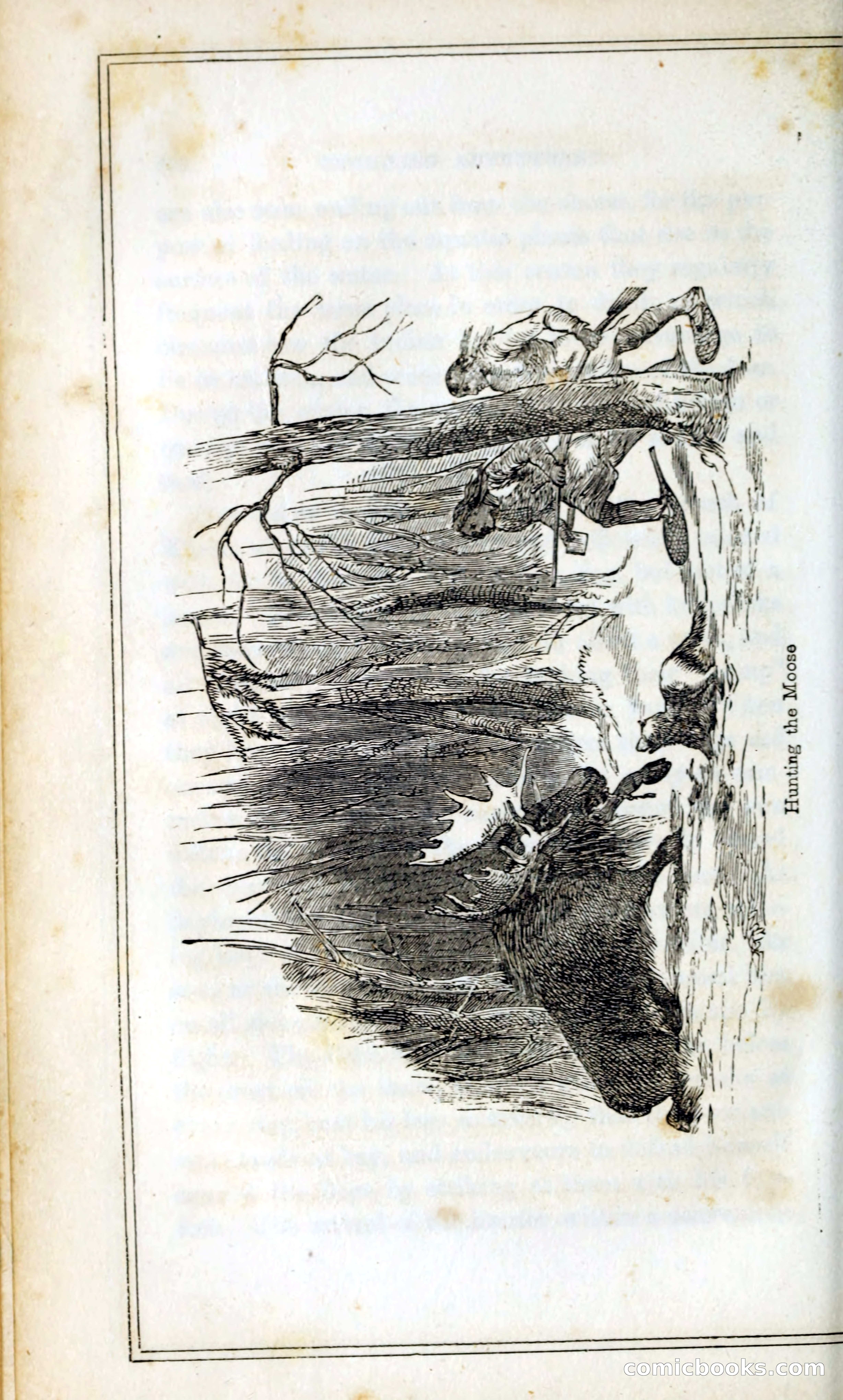 Thrilling Adventures Among the Indians — page 253 of 393