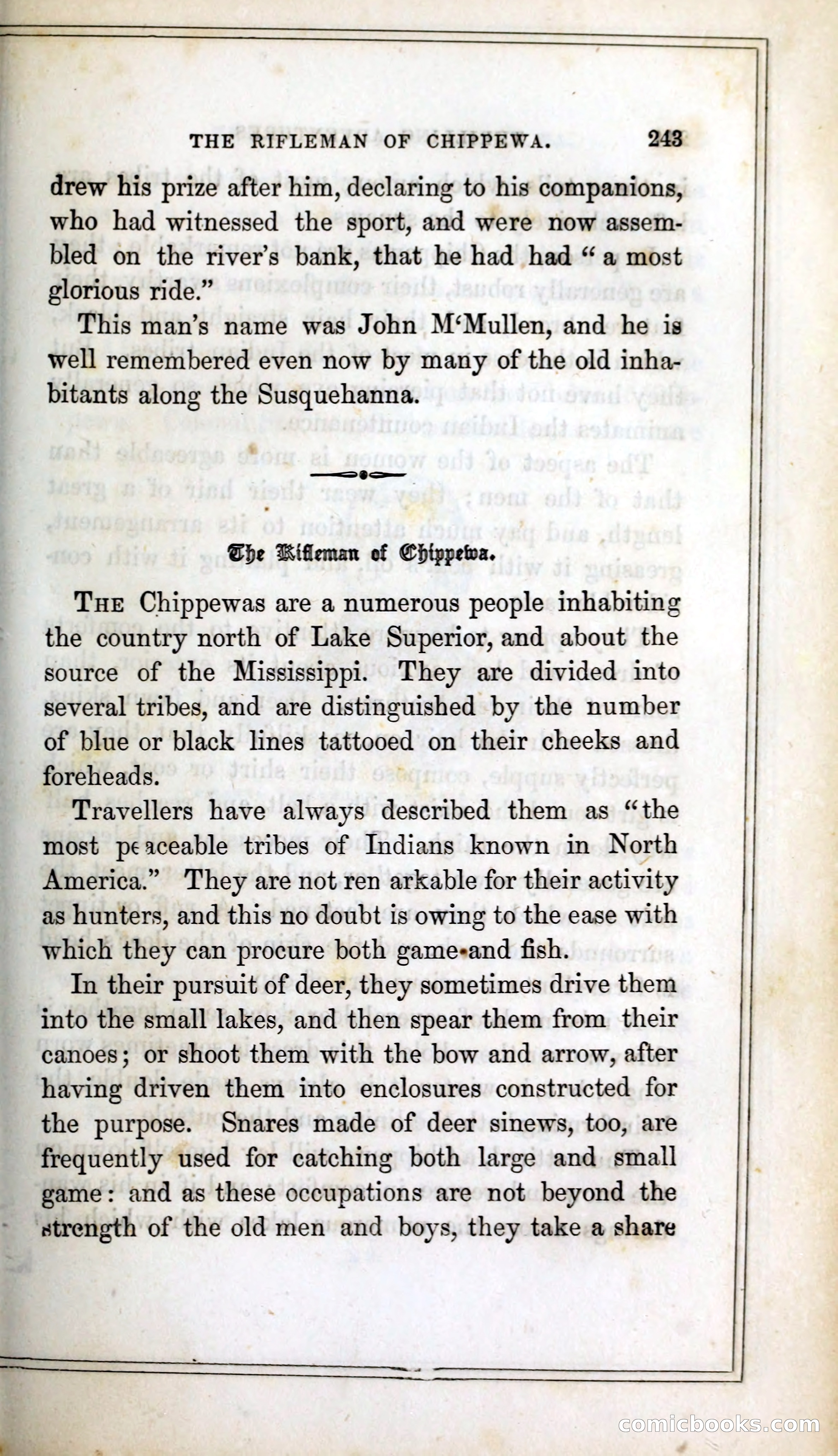 Thrilling Adventures Among the Indians — page 256 of 393