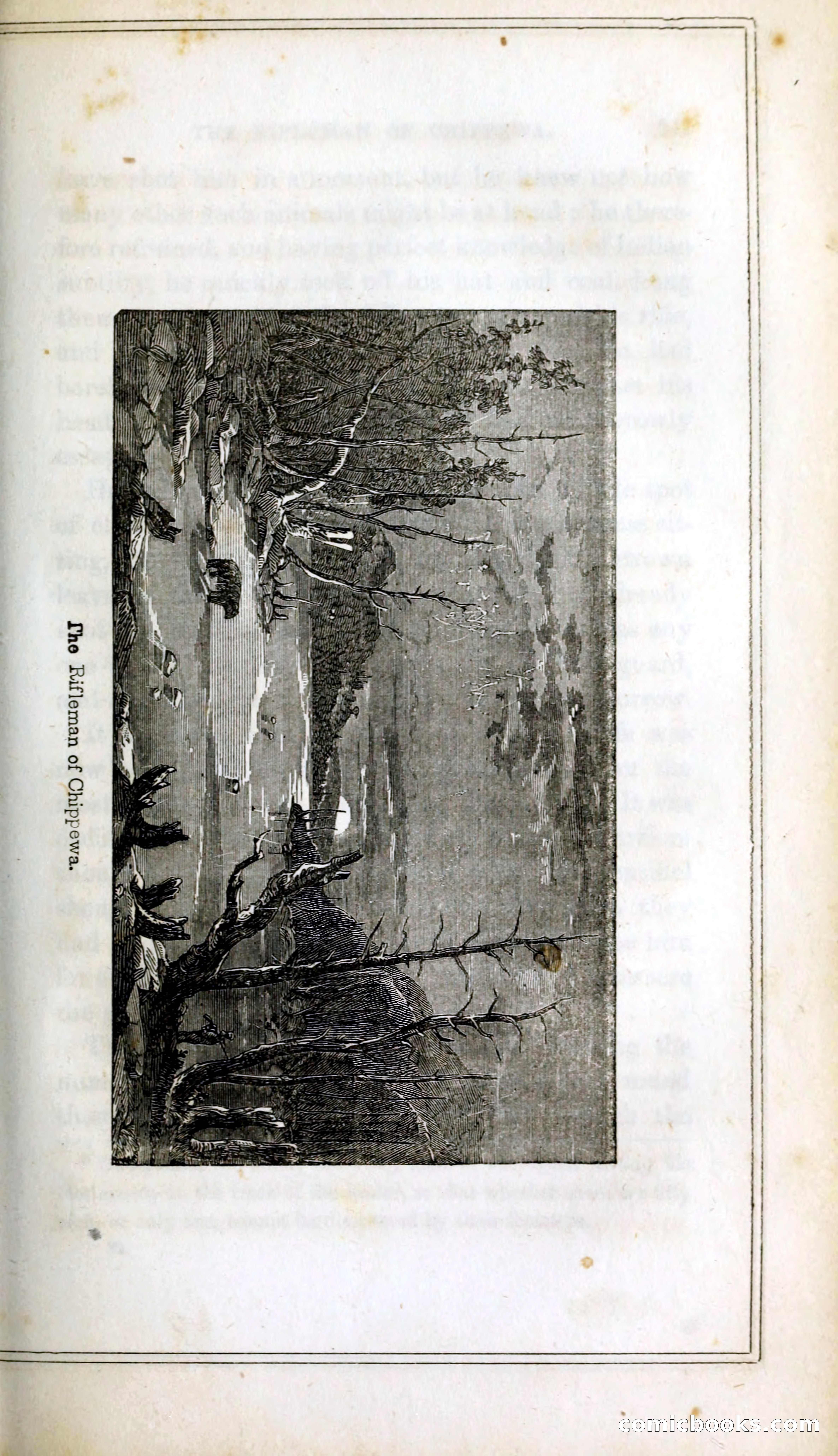 Thrilling Adventures Among the Indians — page 260 of 393