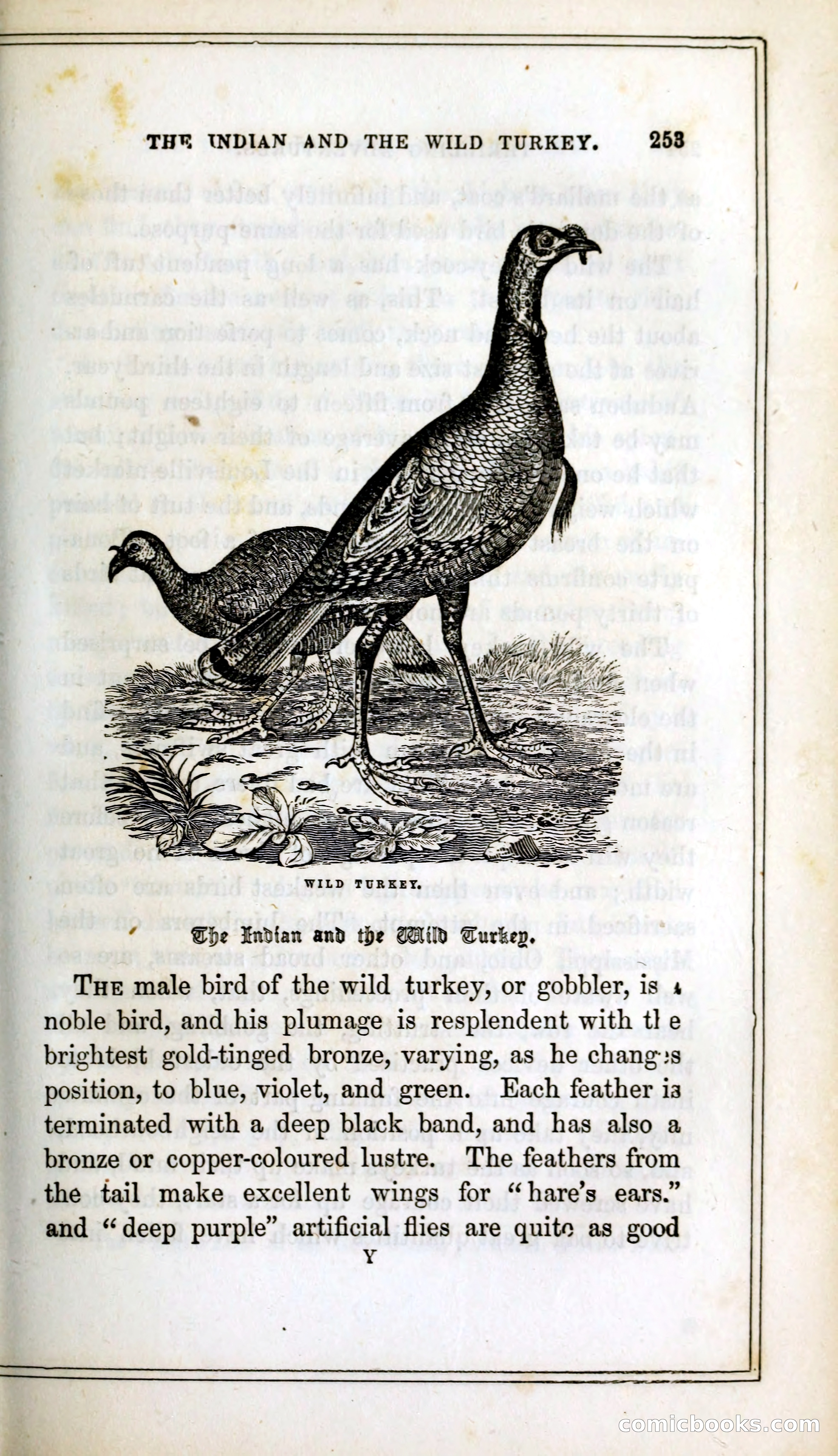 Thrilling Adventures Among the Indians — page 266 of 393