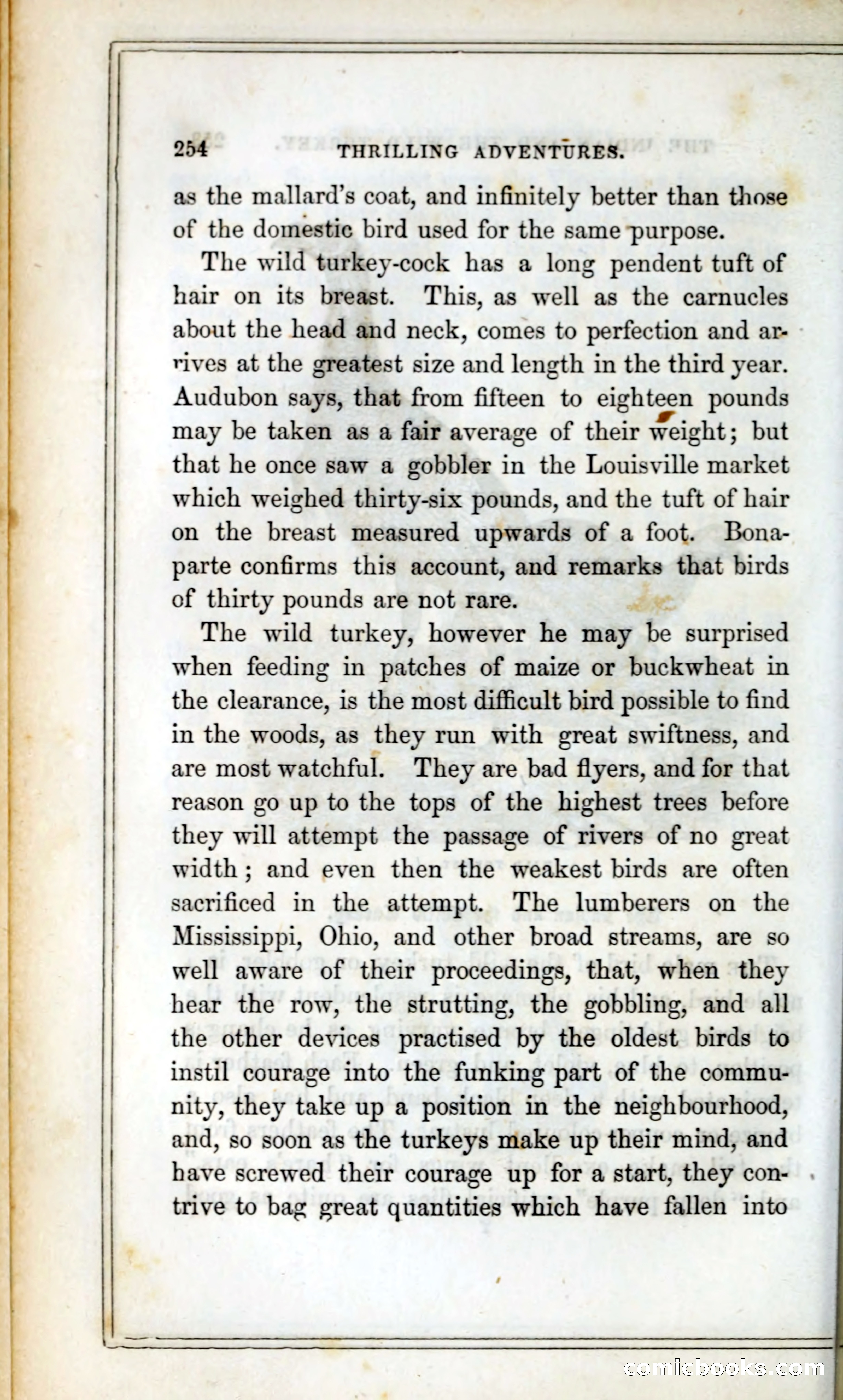 Thrilling Adventures Among the Indians — page 267 of 393