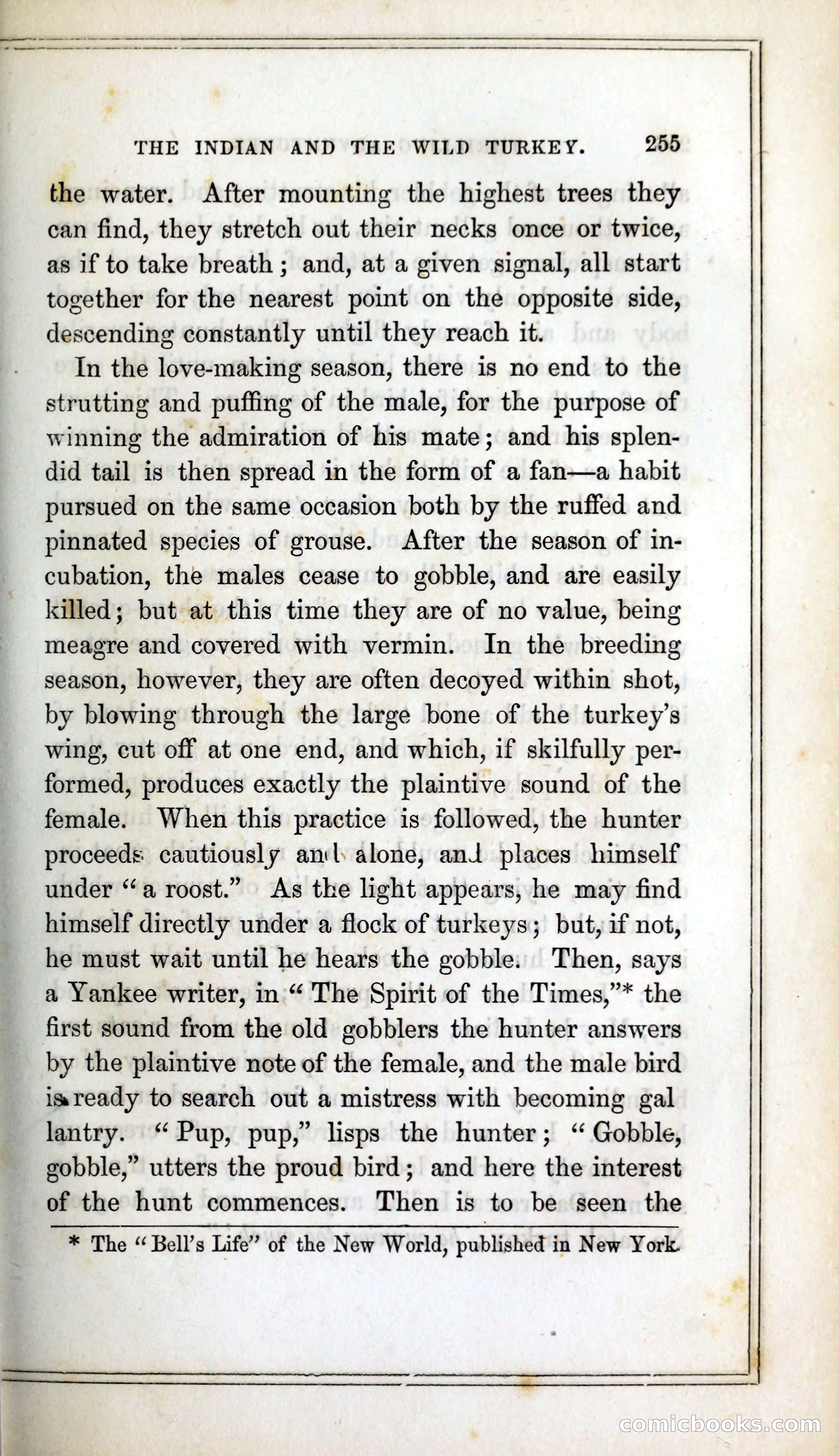 Thrilling Adventures Among the Indians — page 268 of 393