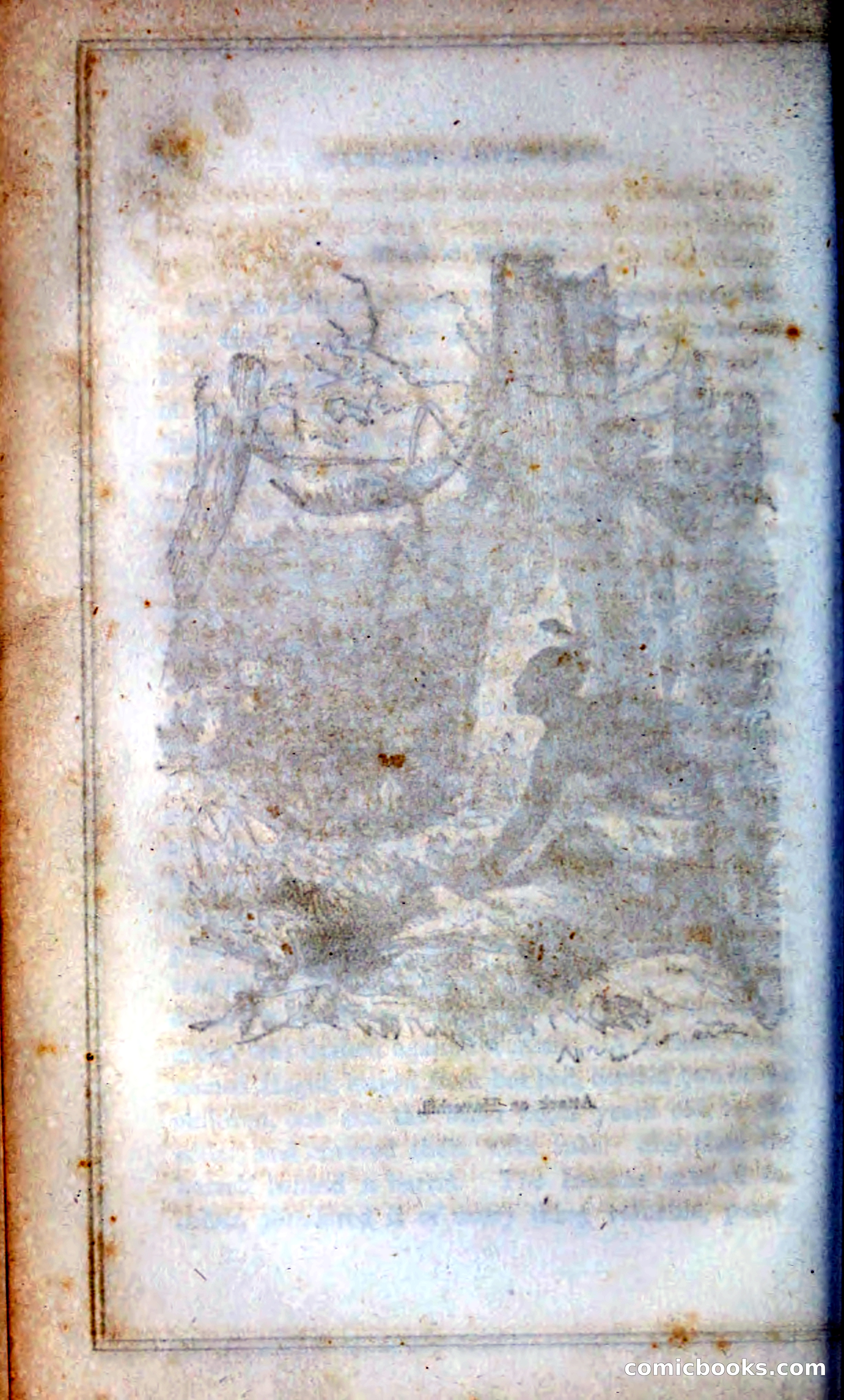 Thrilling Adventures Among the Indians — page 275 of 393