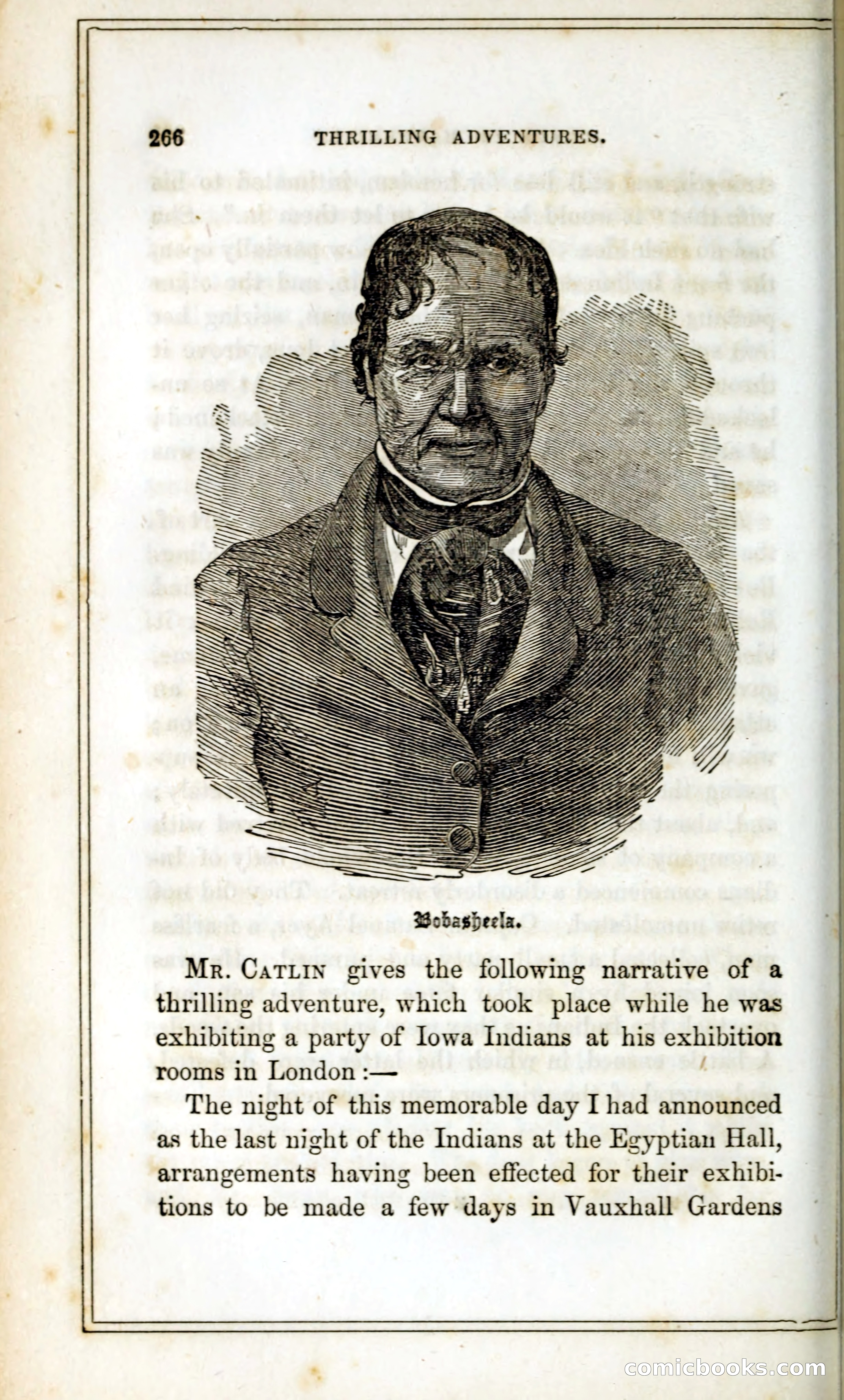 Thrilling Adventures Among the Indians — page 279 of 393