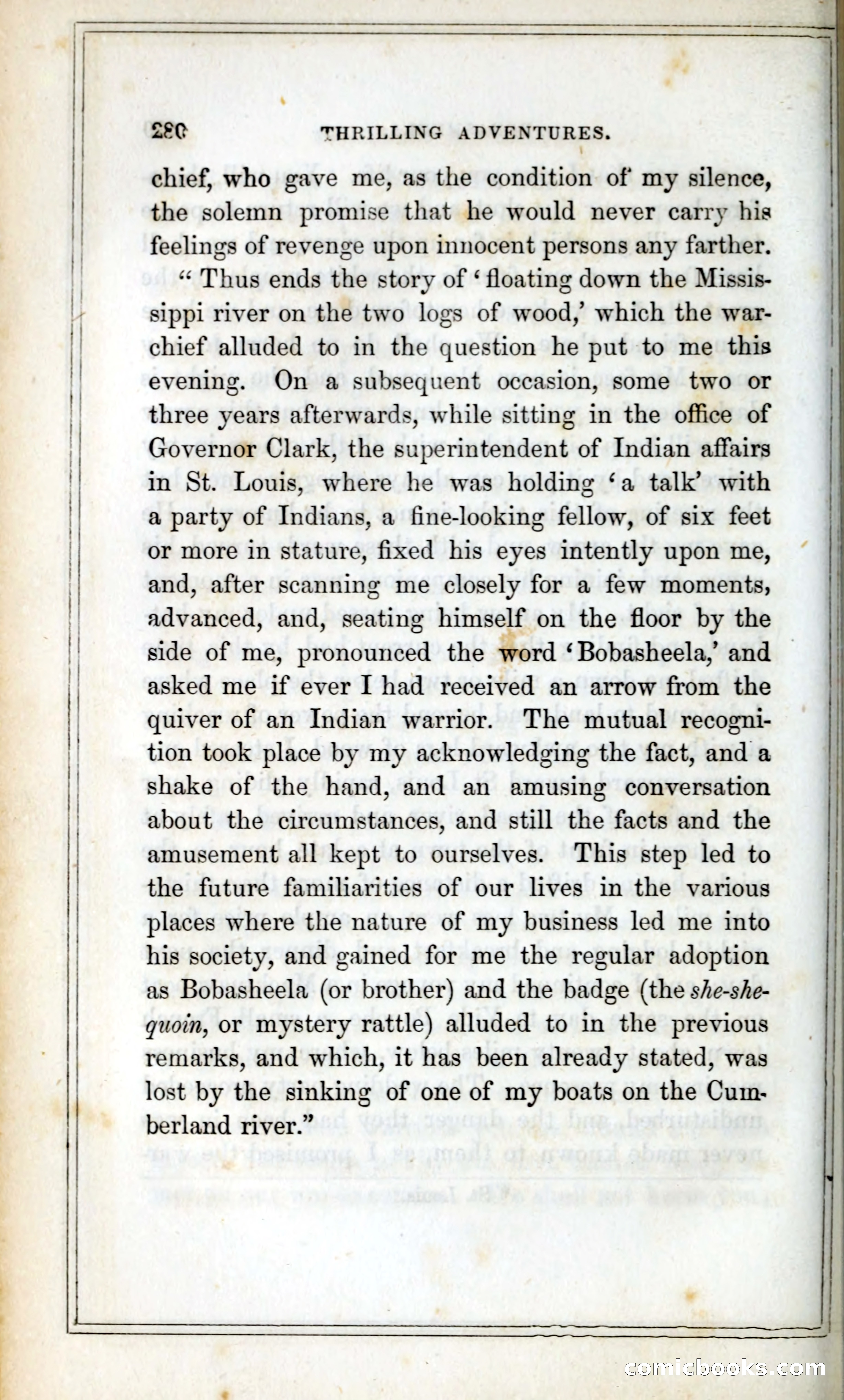 Thrilling Adventures Among the Indians — page 293 of 393